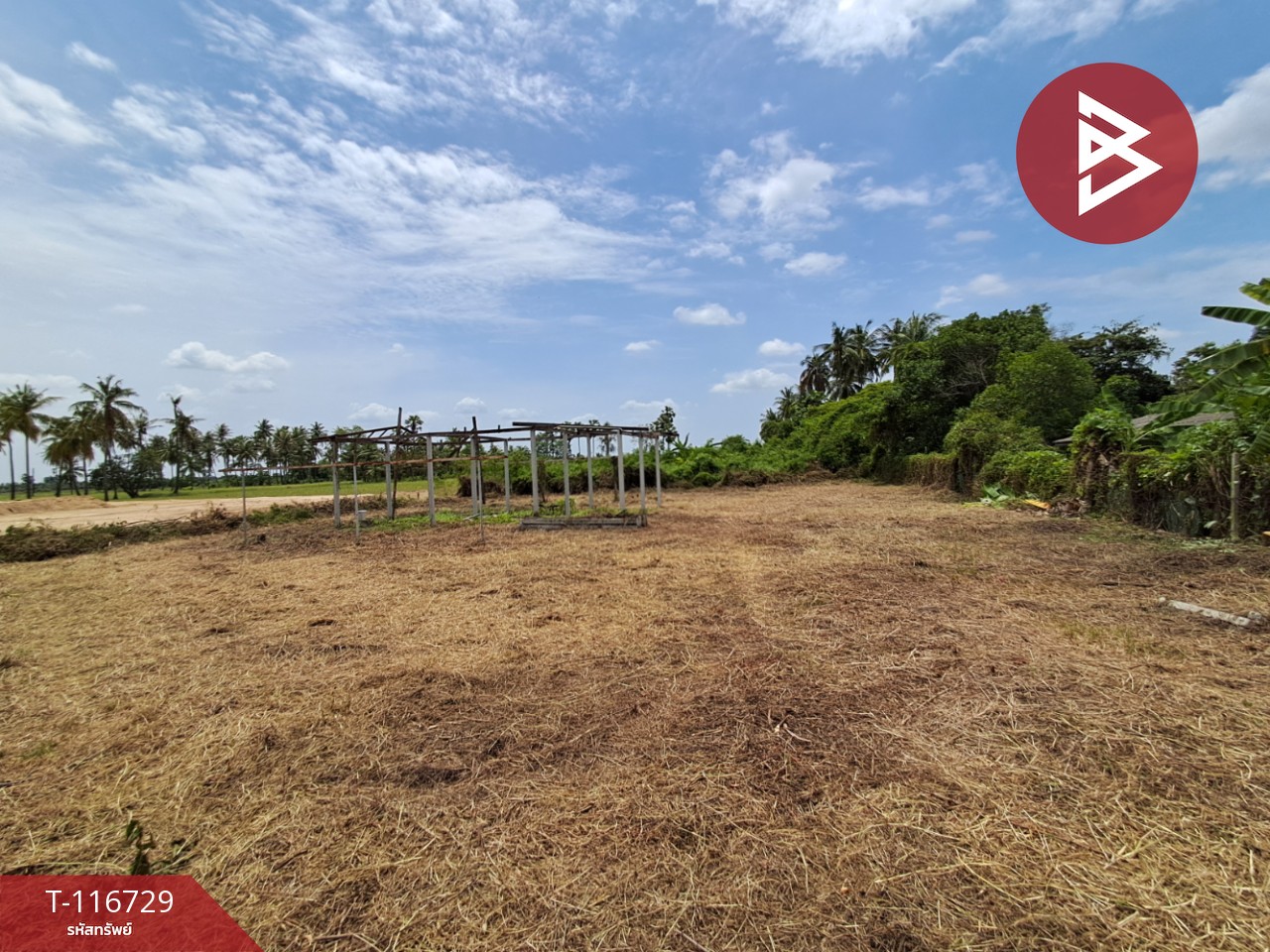 ขายที่ดิน เนื้อที่ 3 ไร่ 7 ตร.วา โพธาราม ราชบุรี 7