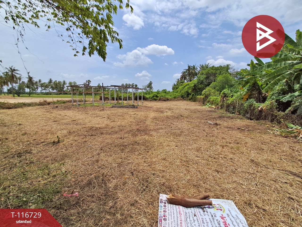 ขายที่ดิน เนื้อที่ 3 ไร่ 7 ตร.วา โพธาราม ราชบุรี 13