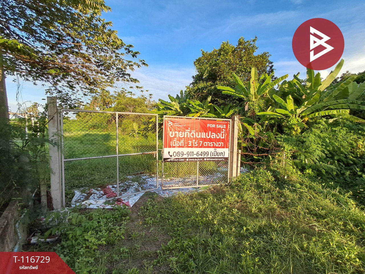 ขายที่ดิน เนื้อที่ 3 ไร่ 7 ตร.วา โพธาราม ราชบุรี 2