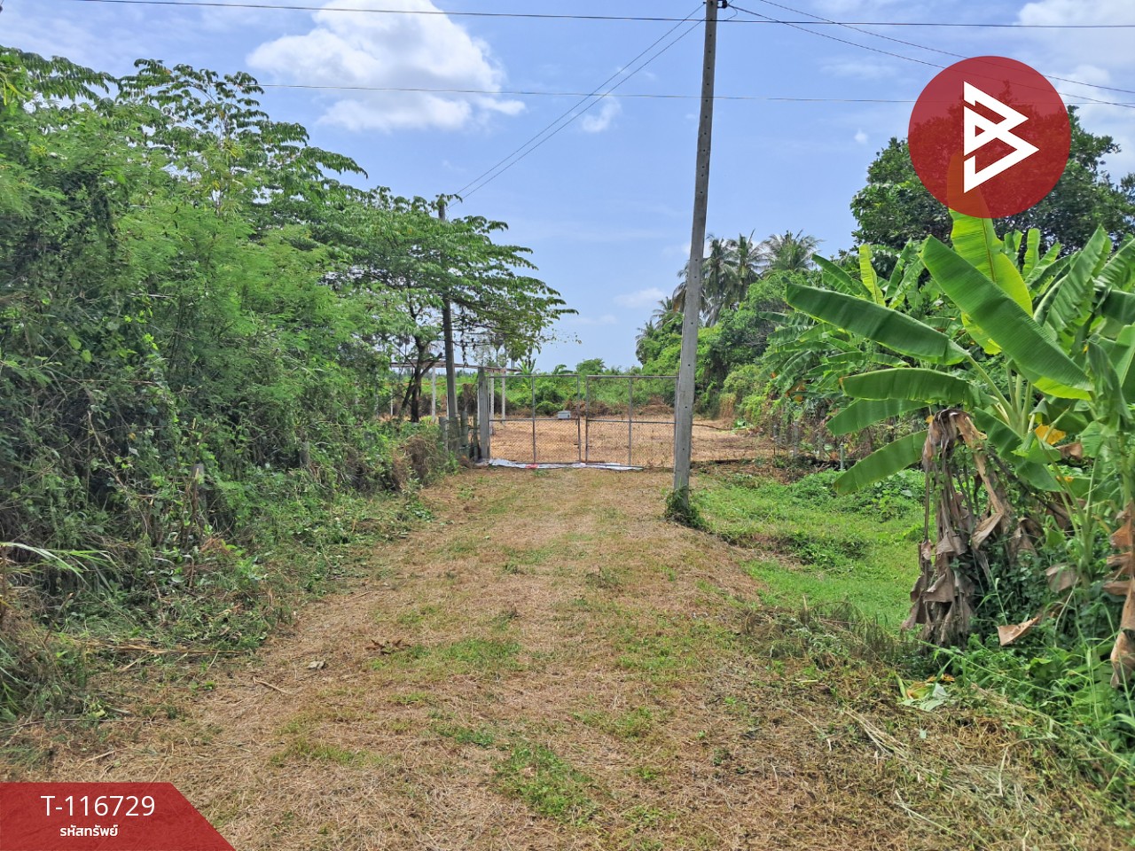 ขายที่ดิน เนื้อที่ 3 ไร่ 7 ตร.วา โพธาราม ราชบุรี 14