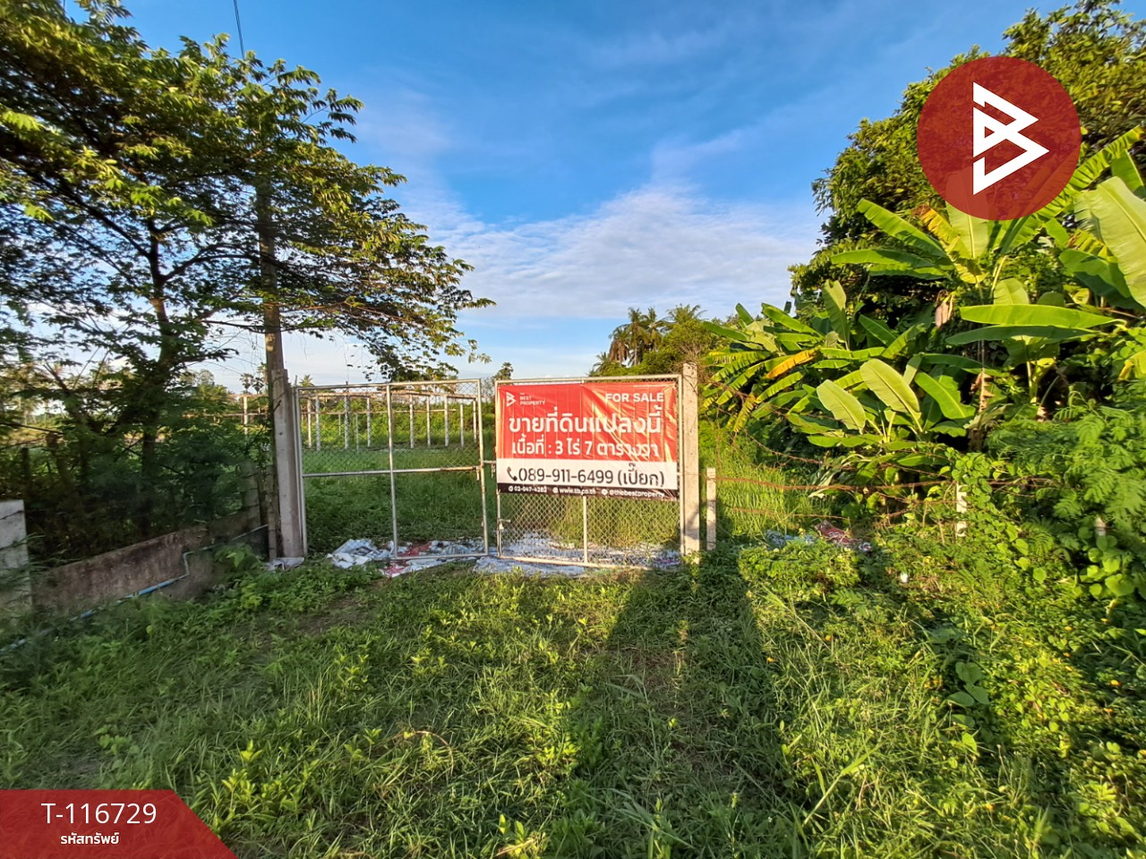 ขายที่ดิน เนื้อที่ 3 ไร่ 7 ตร.วา โพธาราม ราชบุรี 15