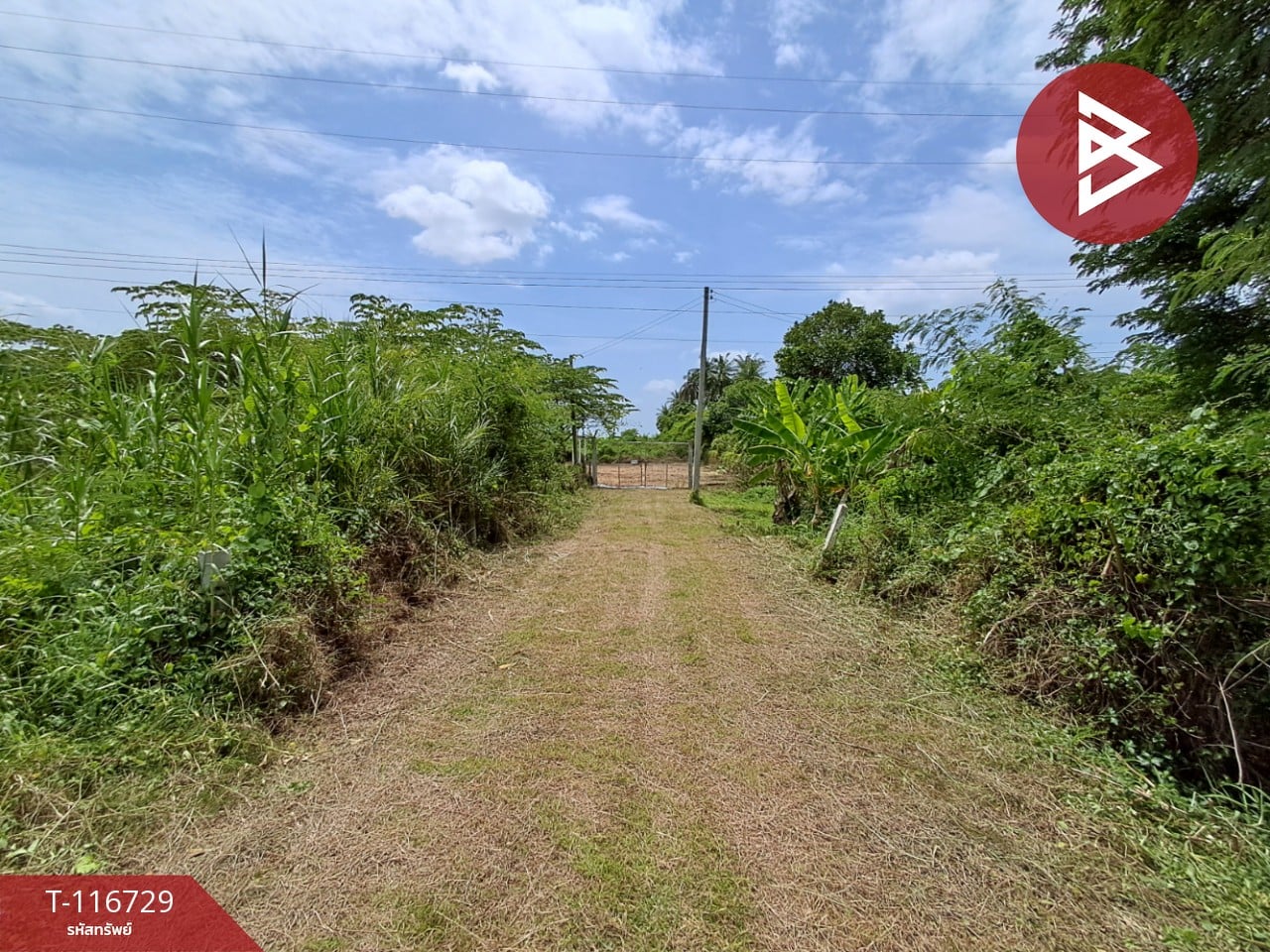 ขายที่ดิน เนื้อที่ 3 ไร่ 7 ตร.วา โพธาราม ราชบุรี 11