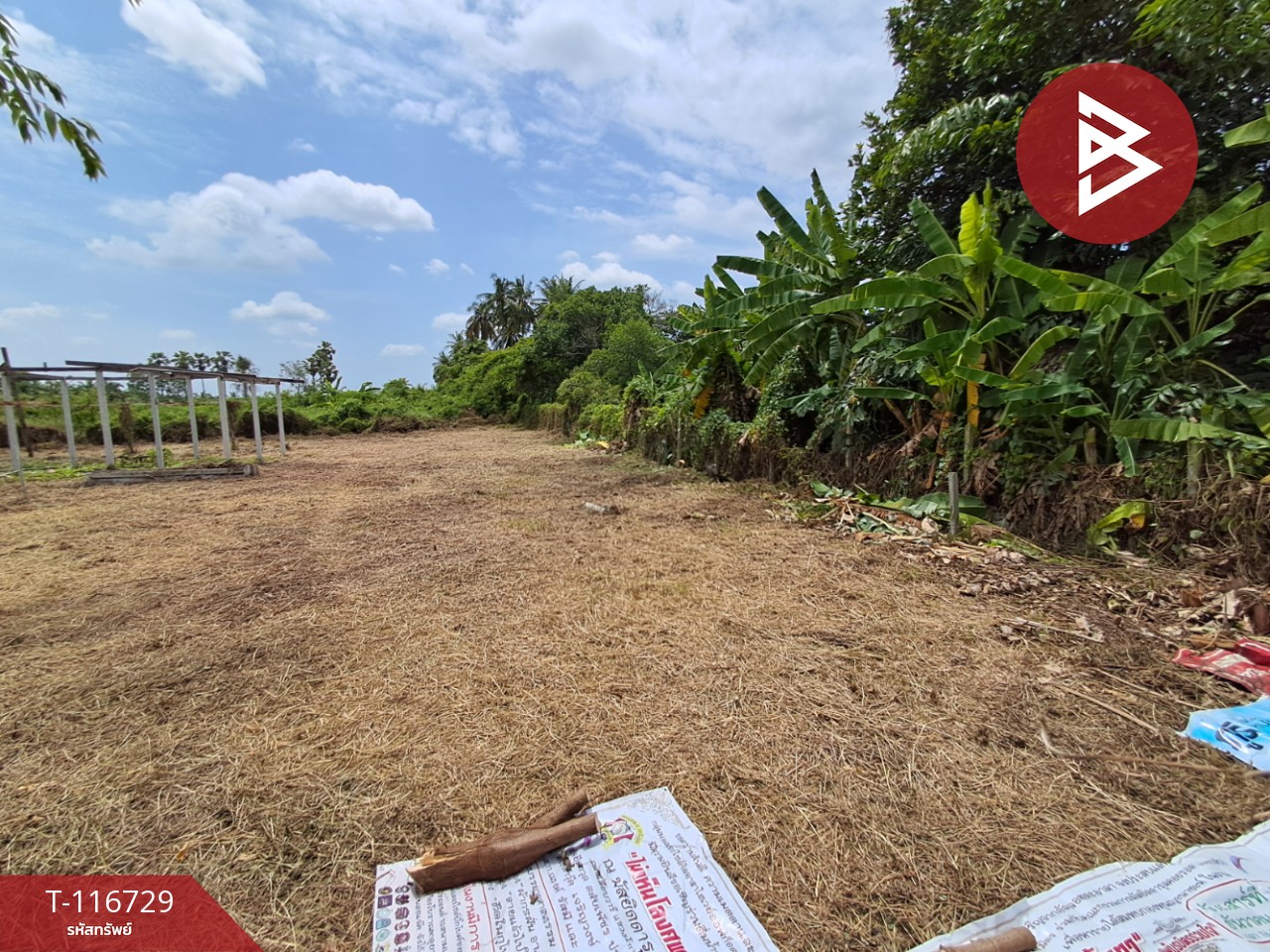 ขายที่ดิน เนื้อที่ 3 ไร่ 7 ตร.วา โพธาราม ราชบุรี 8