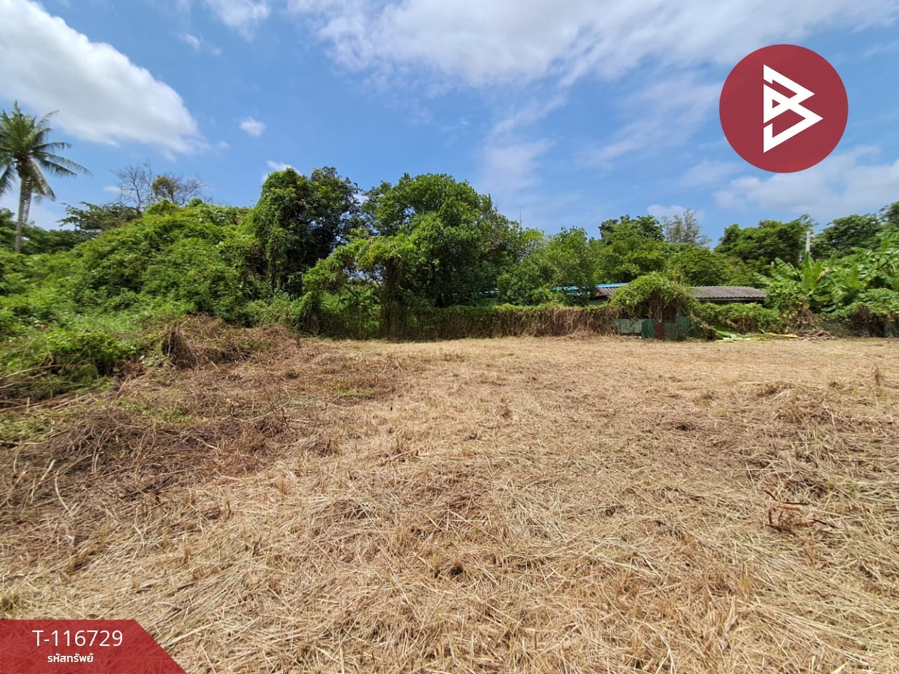 ขายที่ดิน เนื้อที่ 3 ไร่ 7 ตร.วา โพธาราม ราชบุรี 6