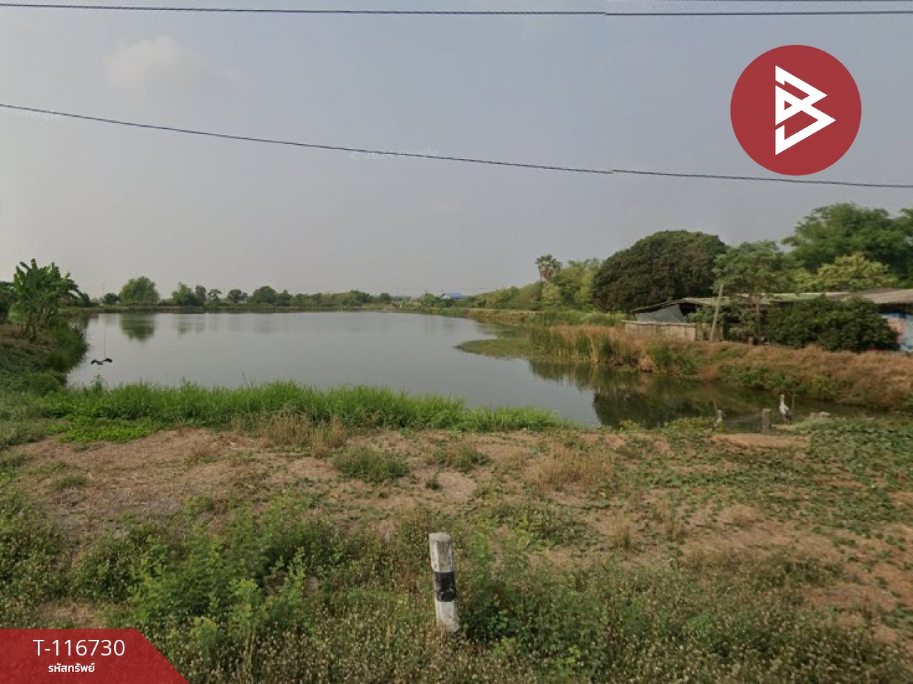 ขายที่ดินพร้อมสิ่งปลูกสร้าง เนื้อที่ 40 ไร่ 1 งาน 60​ ตร.วา บ้านสร้าง ปราจีนบุรี 7