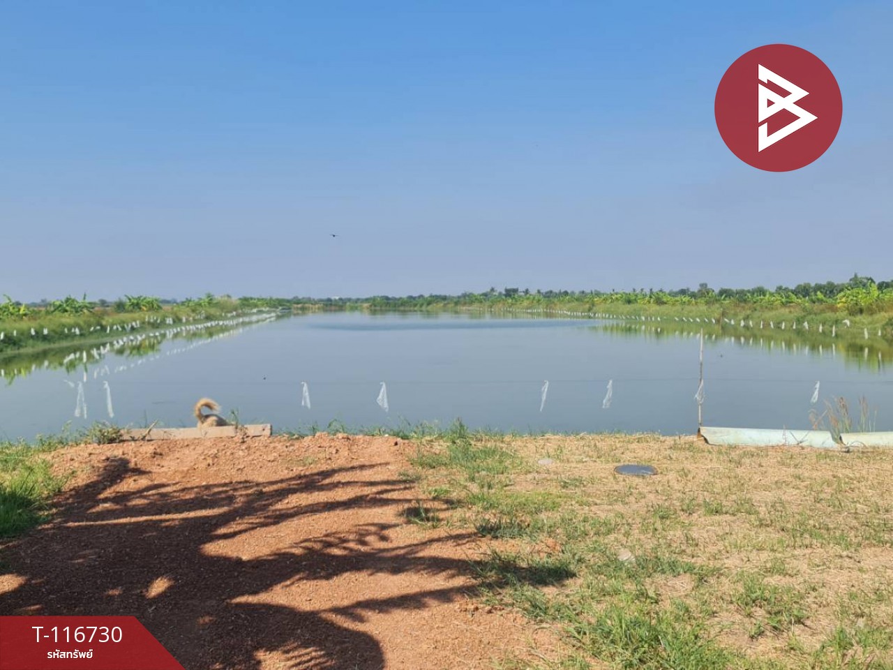 ขายที่ดินพร้อมสิ่งปลูกสร้าง เนื้อที่ 40 ไร่ 1 งาน 60​ ตร.วา บ้านสร้าง ปราจีนบุรี 2