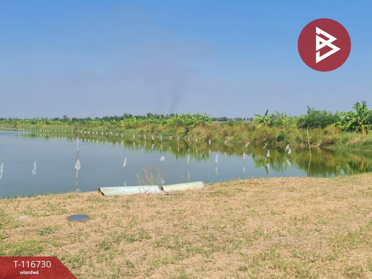 ขายที่ดินพร้อมสิ่งปลูกสร้าง เนื้อที่ 40 ไร่ 1 งาน 60​ ตร.วา บ้านสร้าง ปราจีนบุรี 10