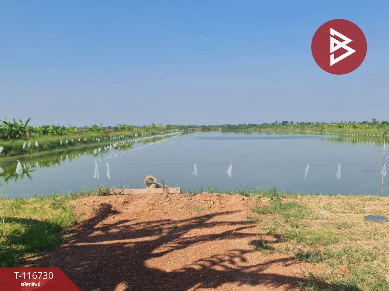 ขายที่ดินพร้อมสิ่งปลูกสร้าง เนื้อที่ 40 ไร่ 1 งาน 60​ ตร.วา บ้านสร้าง ปราจีนบุรี 12