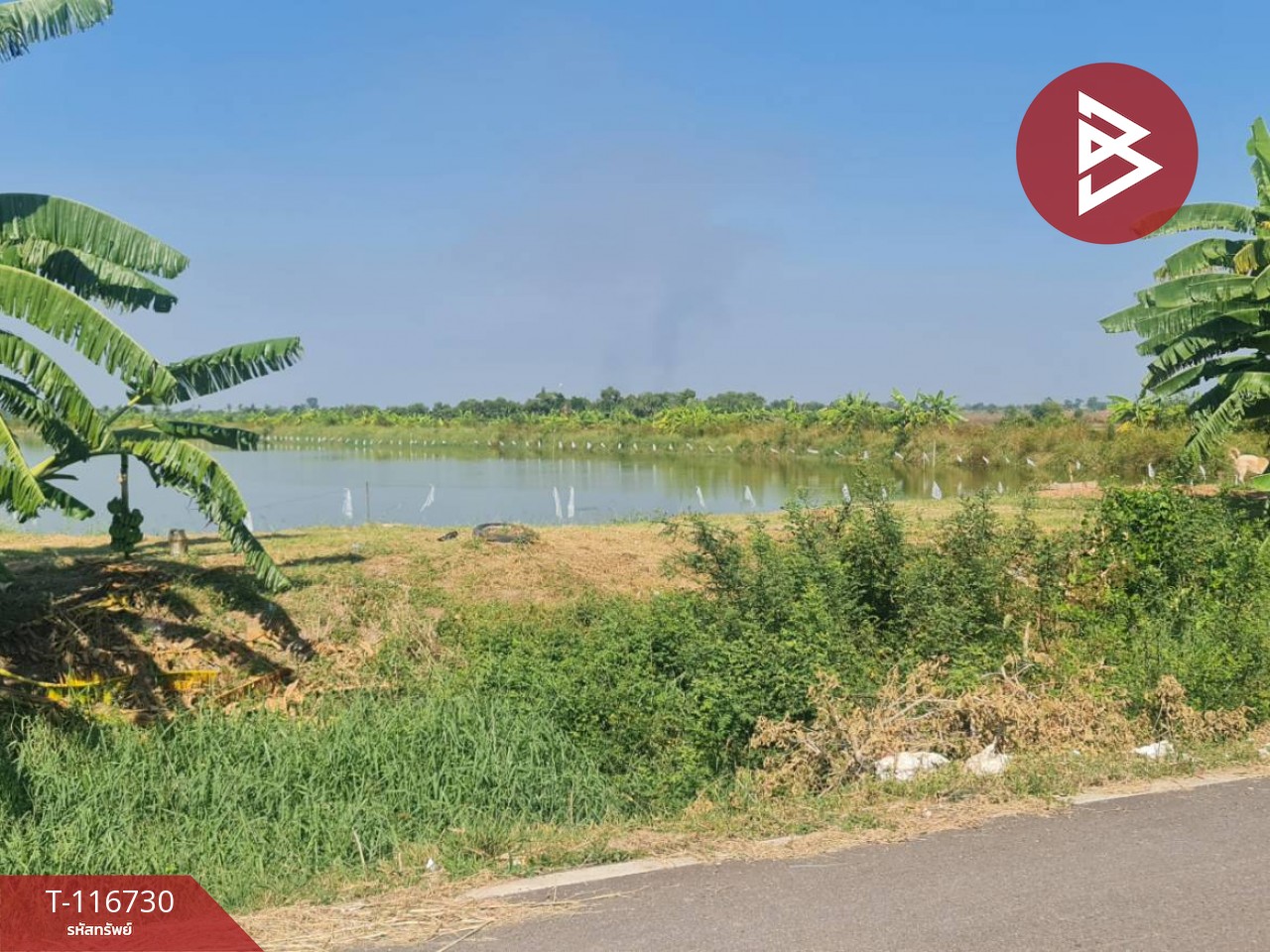 ขายที่ดินพร้อมสิ่งปลูกสร้าง เนื้อที่ 40 ไร่ 1 งาน 60​ ตร.วา บ้านสร้าง ปราจีนบุรี 13