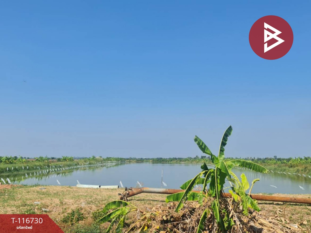 ขายที่ดินพร้อมสิ่งปลูกสร้าง เนื้อที่ 40 ไร่ 1 งาน 60​ ตร.วา บ้านสร้าง ปราจีนบุรี 11