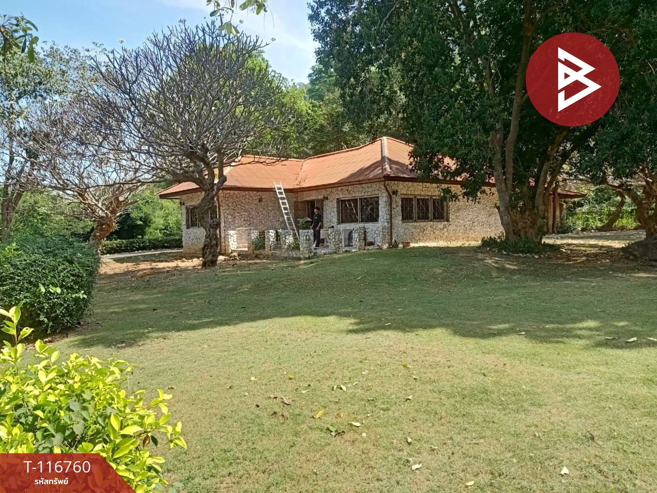 ขายบ้านเดี่ยวพร้อมที่ดิน เนื้อที่ 4 ไร่ 1 งาน 48.2 ตร.วา แก่งกระจาน เพชรบุรี 3