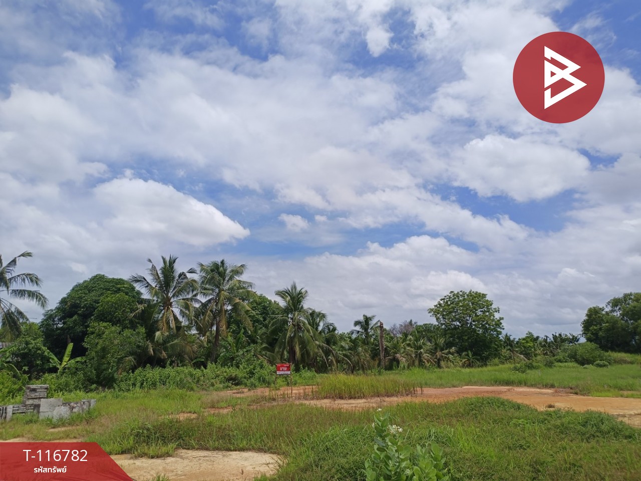 ขายที่ดิน เนื้อที่ 56.7 ตารางวา บางคล้า ฉะเชิงเทรา 3