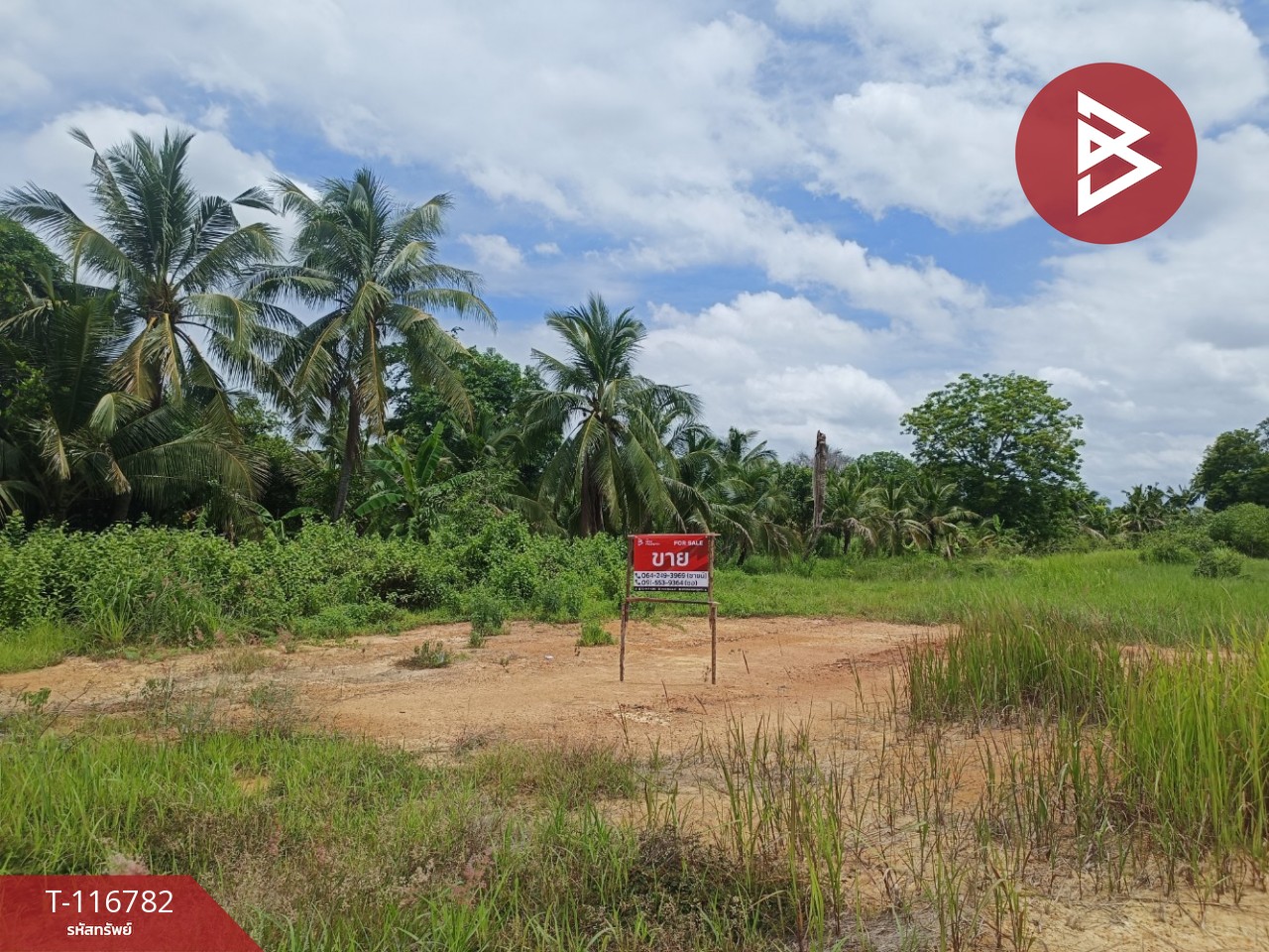 ขายที่ดิน เนื้อที่ 56.7 ตารางวา บางคล้า ฉะเชิงเทรา 1