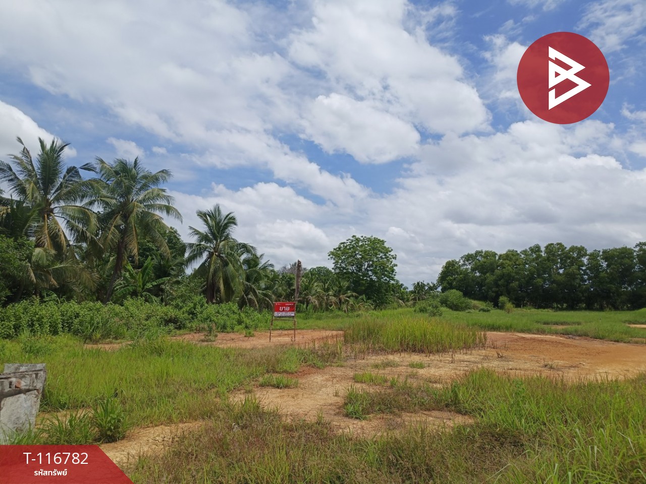 ขายที่ดิน เนื้อที่ 56.7 ตารางวา บางคล้า ฉะเชิงเทรา 2