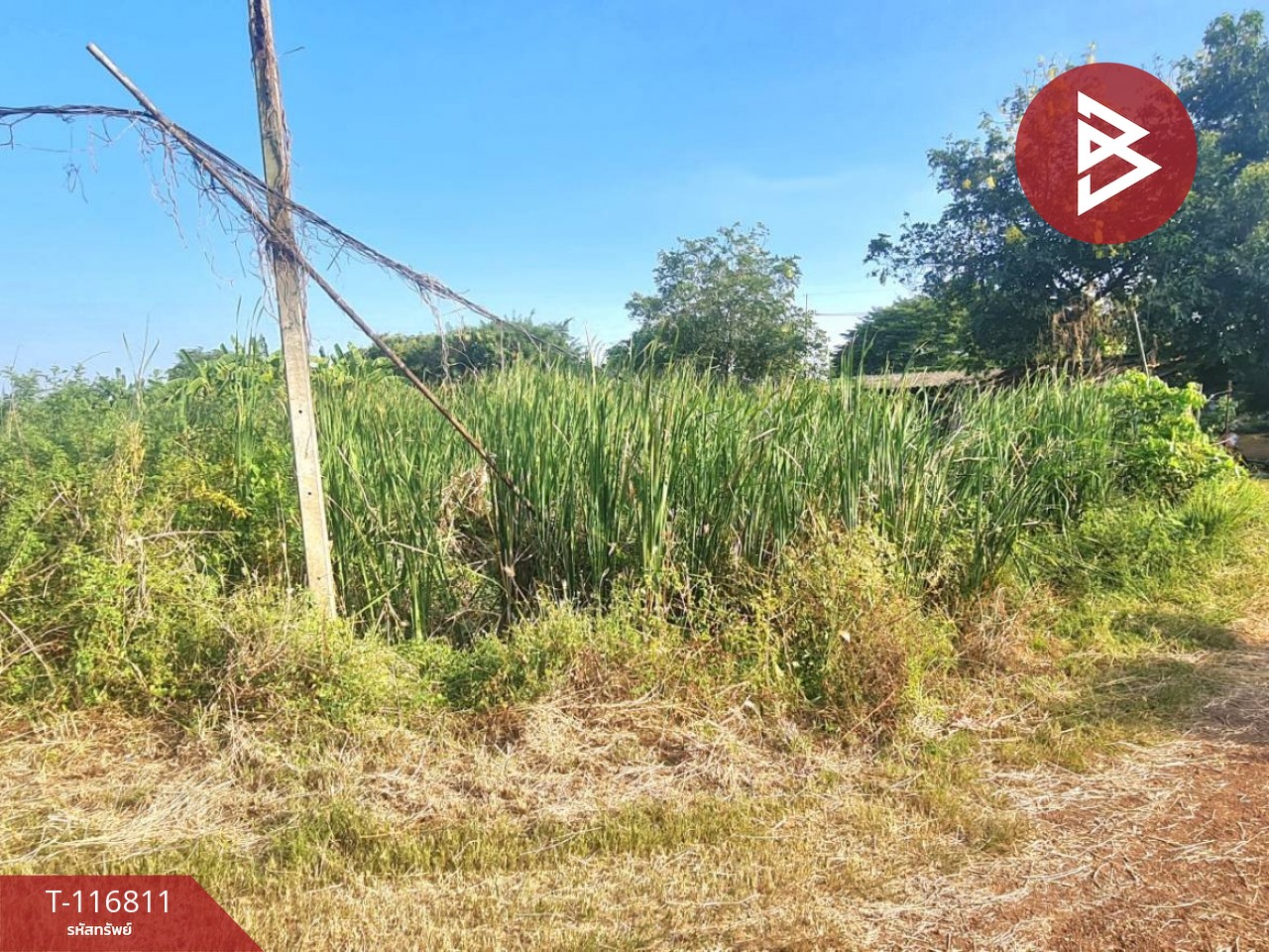 ขายที่ดิน เนื้อที่ 14 ไร่ 44 ตร.วา บ้านสร้าง ปราจีนบุรี 4