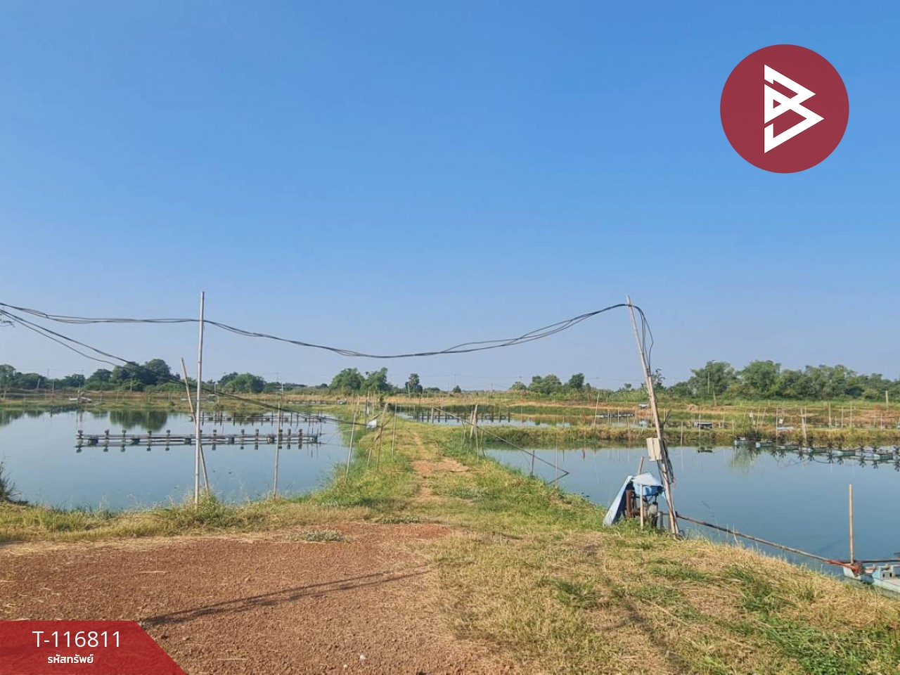 ขายที่ดิน เนื้อที่ 14 ไร่ 44 ตร.วา บ้านสร้าง ปราจีนบุรี 3