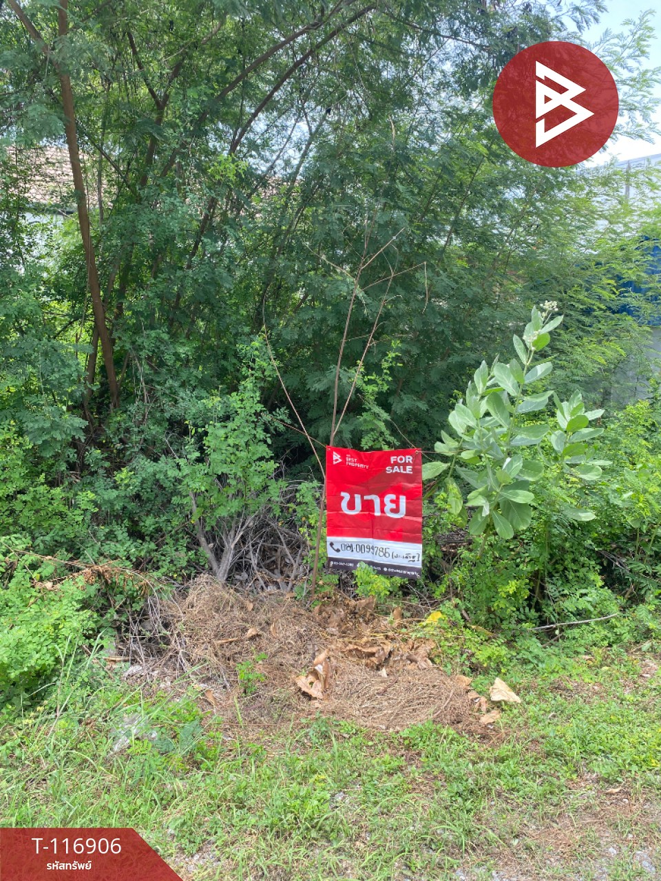 ขายที่ดิน เนื้อที่ 48 ตร.วา ท่าระหัด สุพรรณบุรี 11