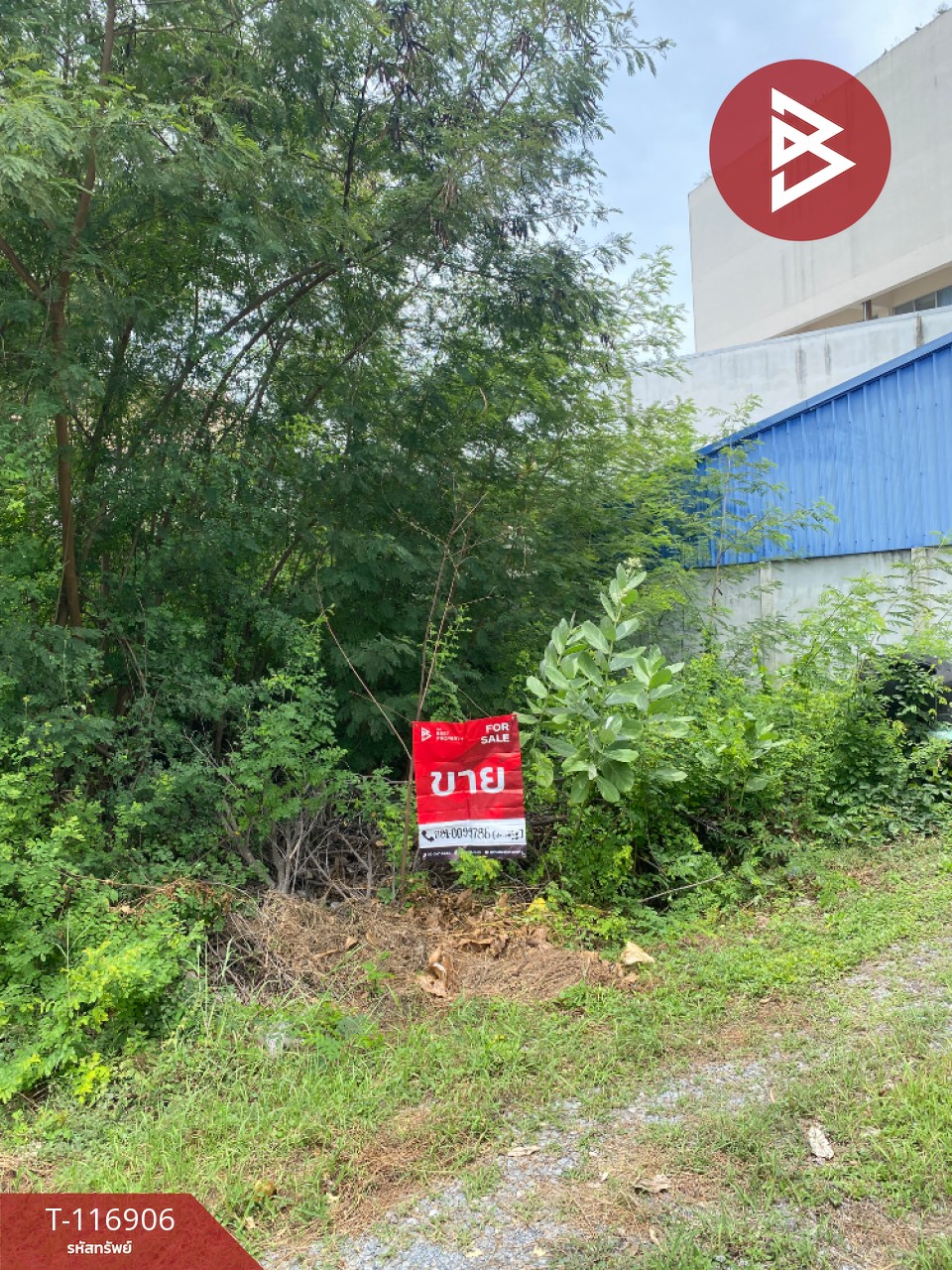 ขายที่ดิน เนื้อที่ 48 ตร.วา ท่าระหัด สุพรรณบุรี 9