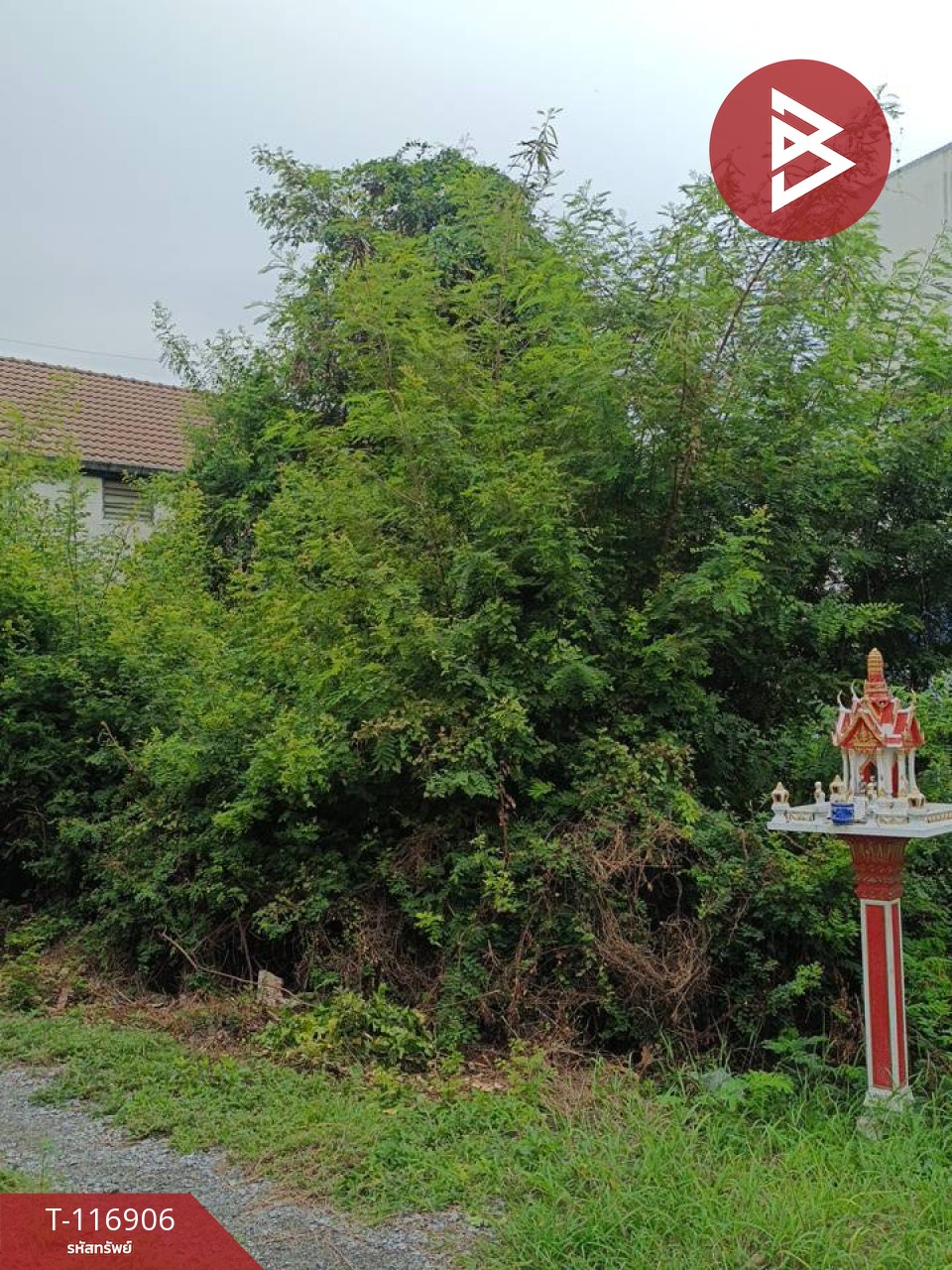 ขายที่ดิน เนื้อที่ 48 ตร.วา ท่าระหัด สุพรรณบุรี 4