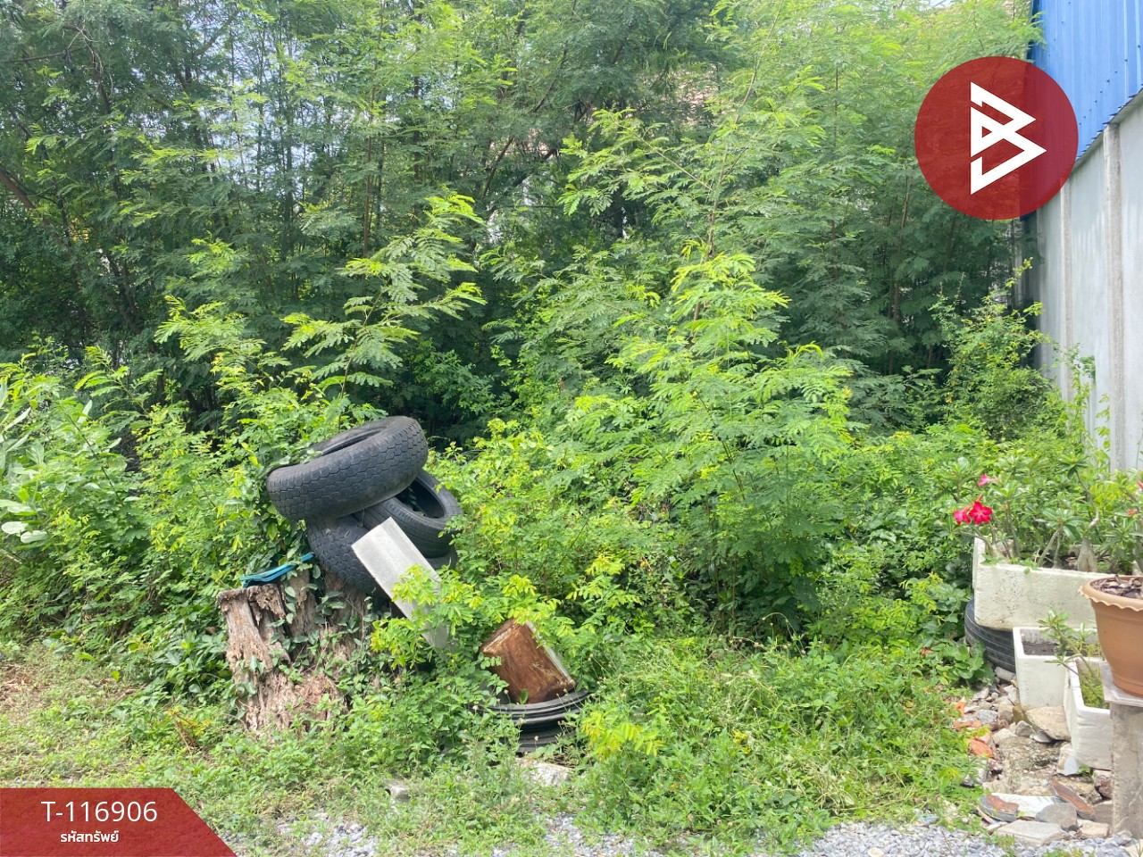 ขายที่ดิน เนื้อที่ 48 ตร.วา ท่าระหัด สุพรรณบุรี 10