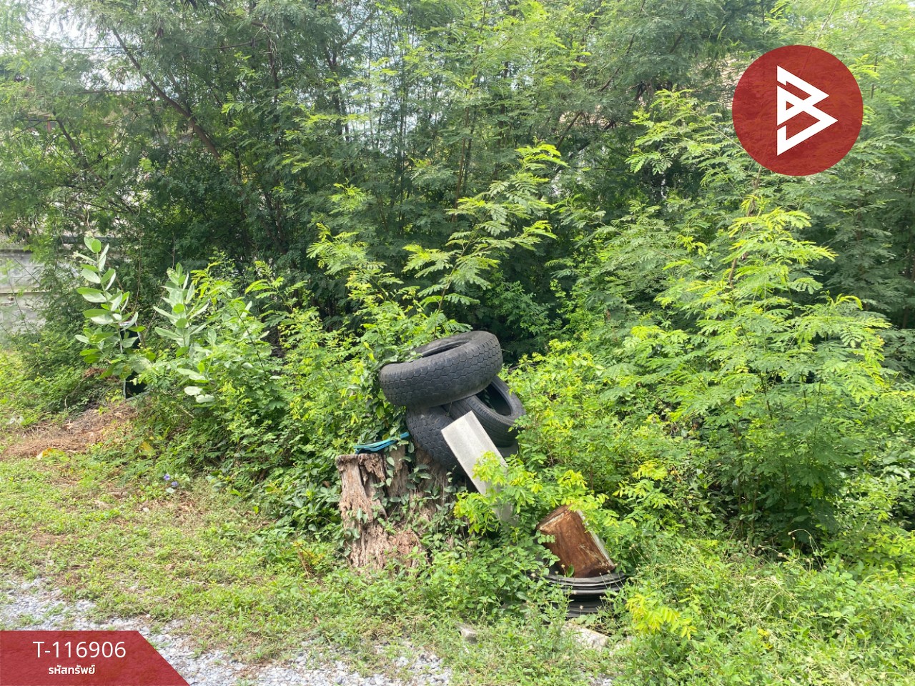 ขายที่ดิน เนื้อที่ 48 ตร.วา ท่าระหัด สุพรรณบุรี 12