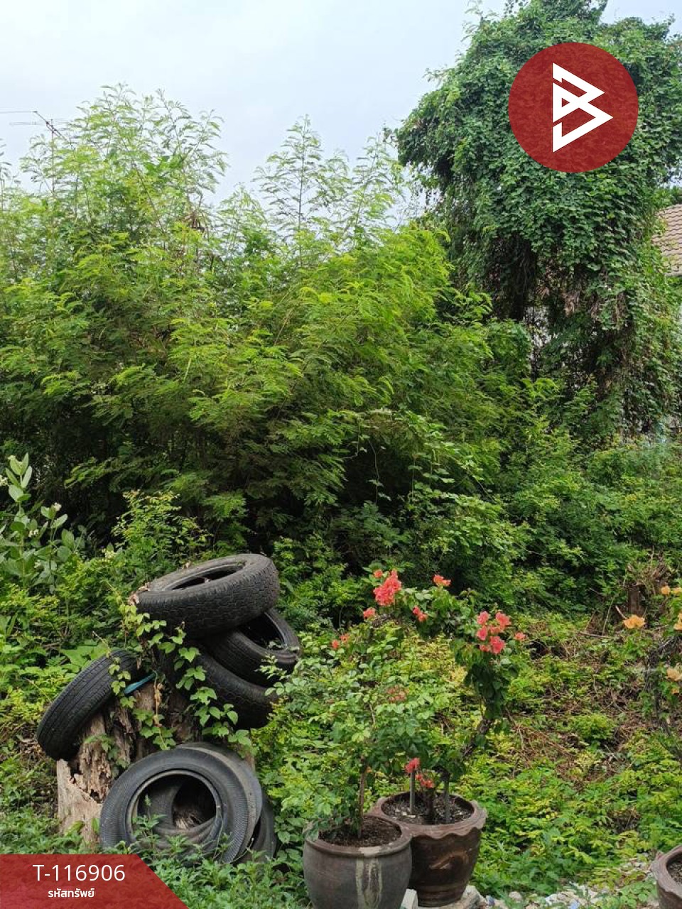 ขายที่ดิน เนื้อที่ 48 ตร.วา ท่าระหัด สุพรรณบุรี 5