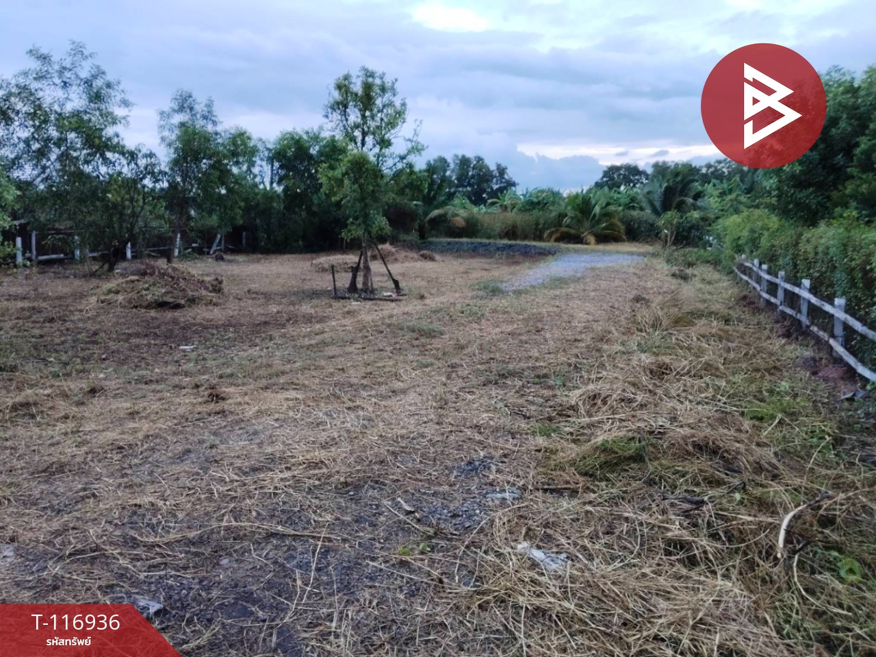 ขายที่ดิน เนื้อที่ 1 ไร่ 55 ตร.วา บางน้ำเปรี้ยว ฉะเชิงเทรา 1