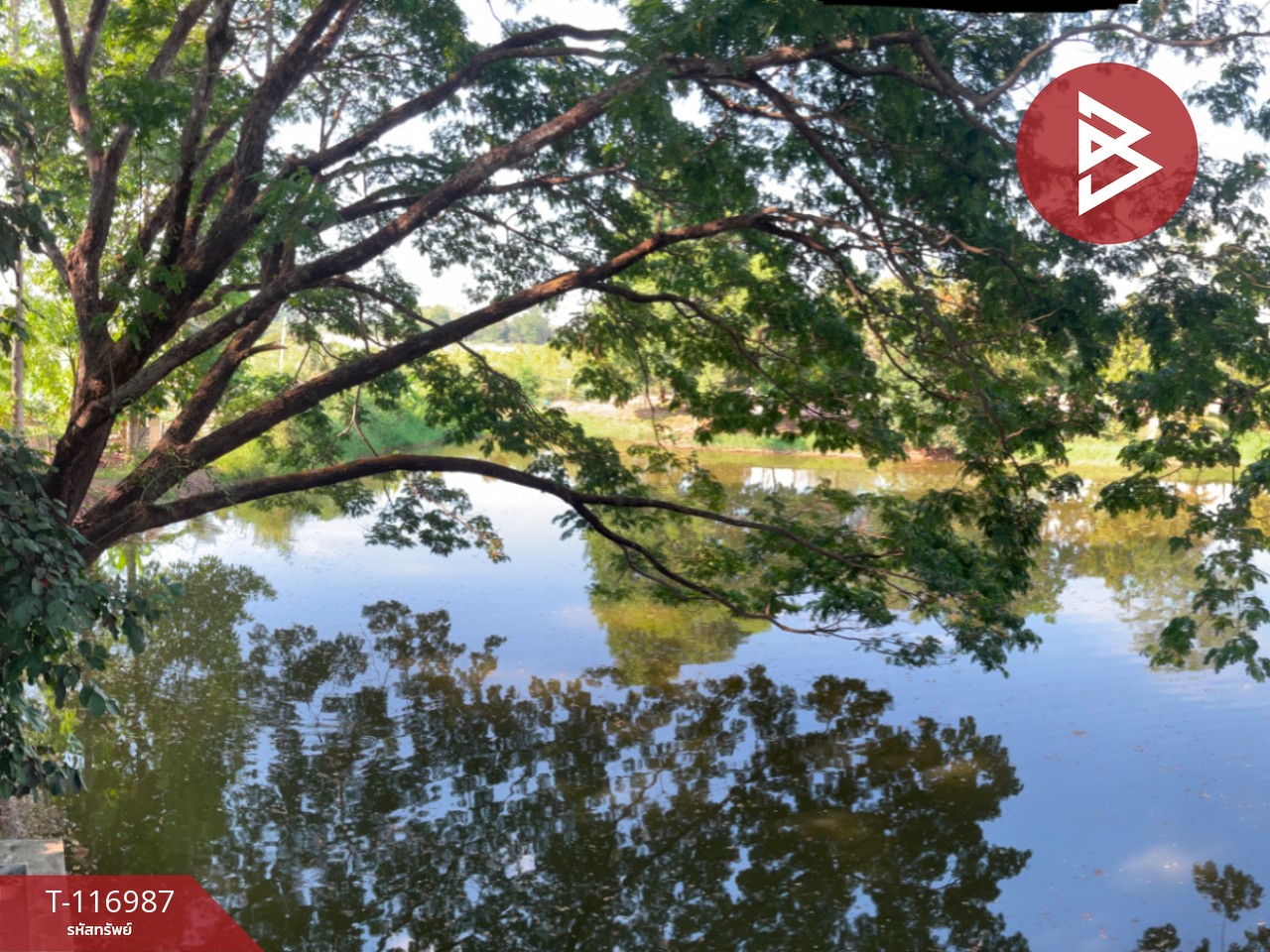 ขายที่ดินพร้อมสิ่งปลูกสร้าง เนื้อที่ 6 ไร่ 70 ตร.วา รอบเวียง เชียงราย 15