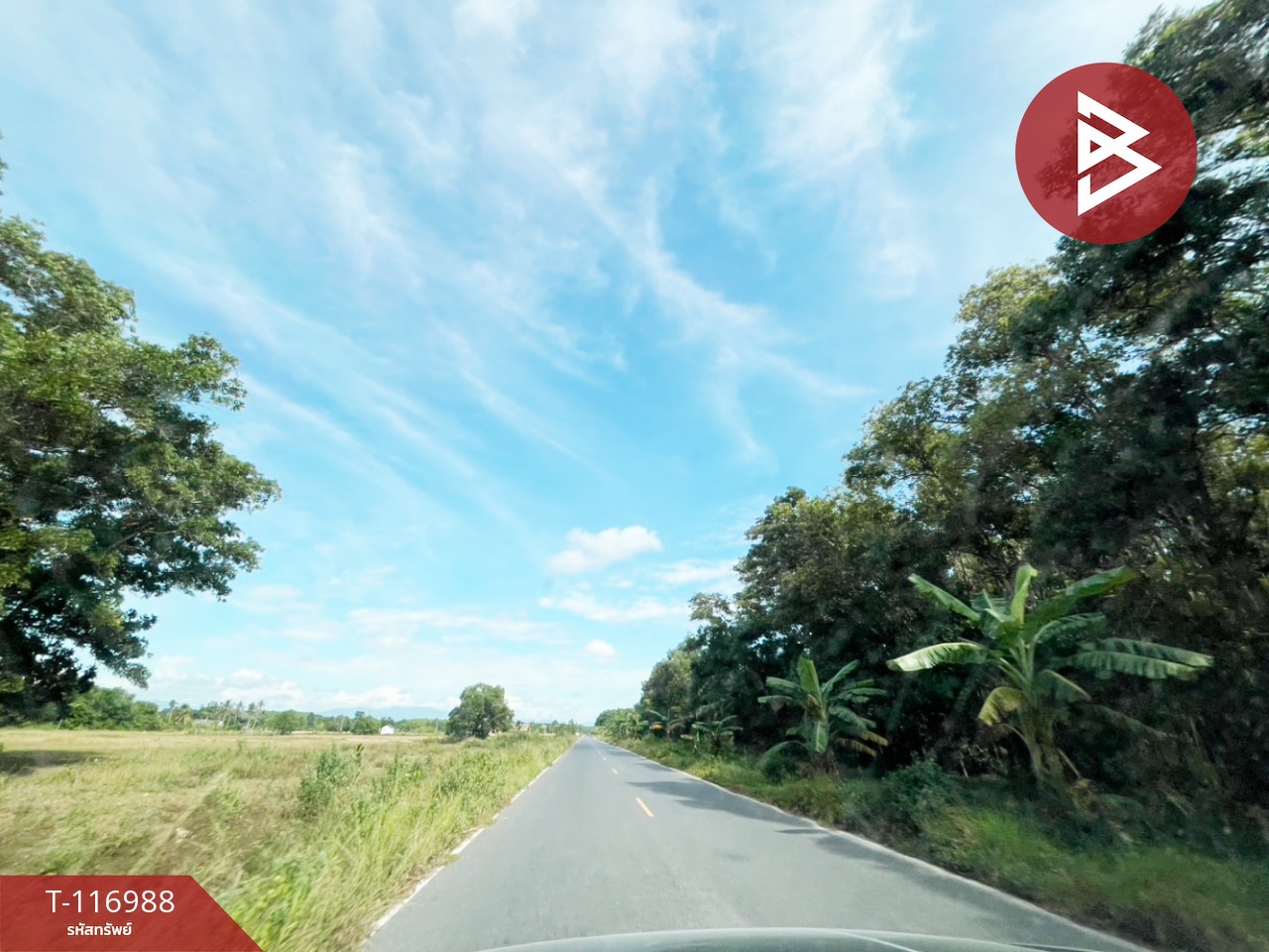 ขายที่ดิน เนื้อที่ 50.6 ตร.วา ท่าศาลา นครศรีธรรมราช 4