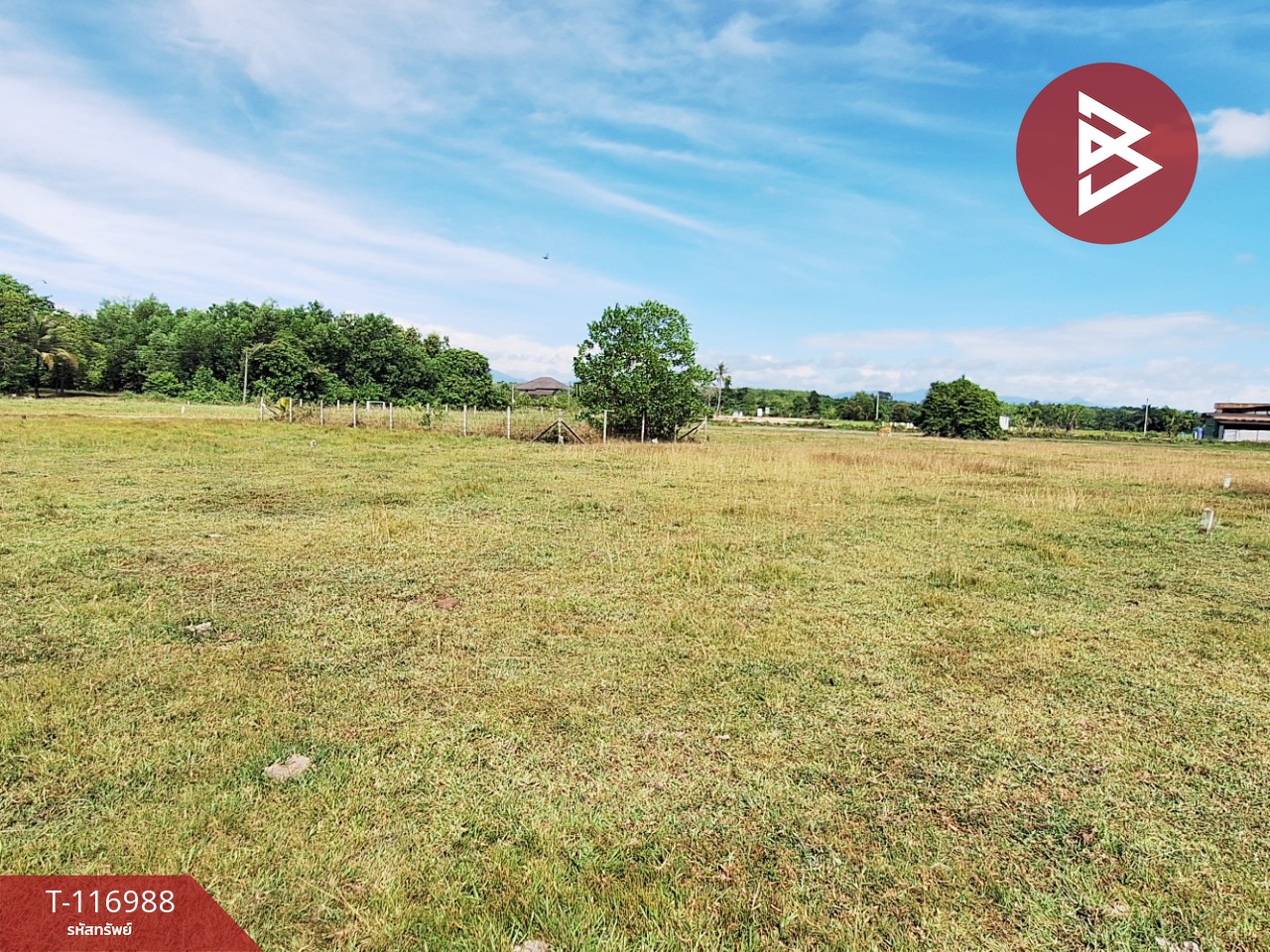 ขายที่ดิน เนื้อที่ 50.6 ตร.วา ท่าศาลา นครศรีธรรมราช 3