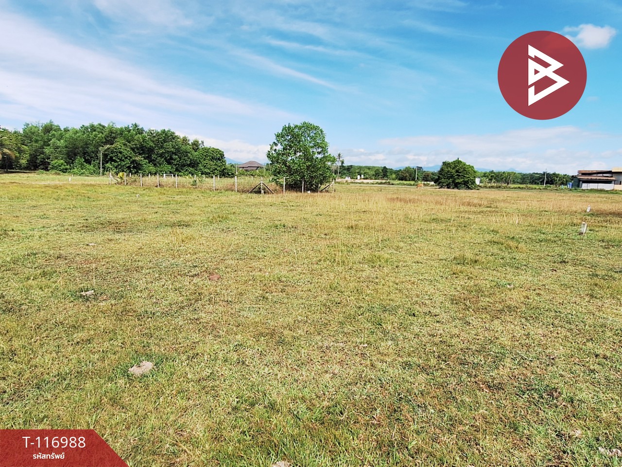 ขายที่ดิน เนื้อที่ 50.6 ตร.วา ท่าศาลา นครศรีธรรมราช 2