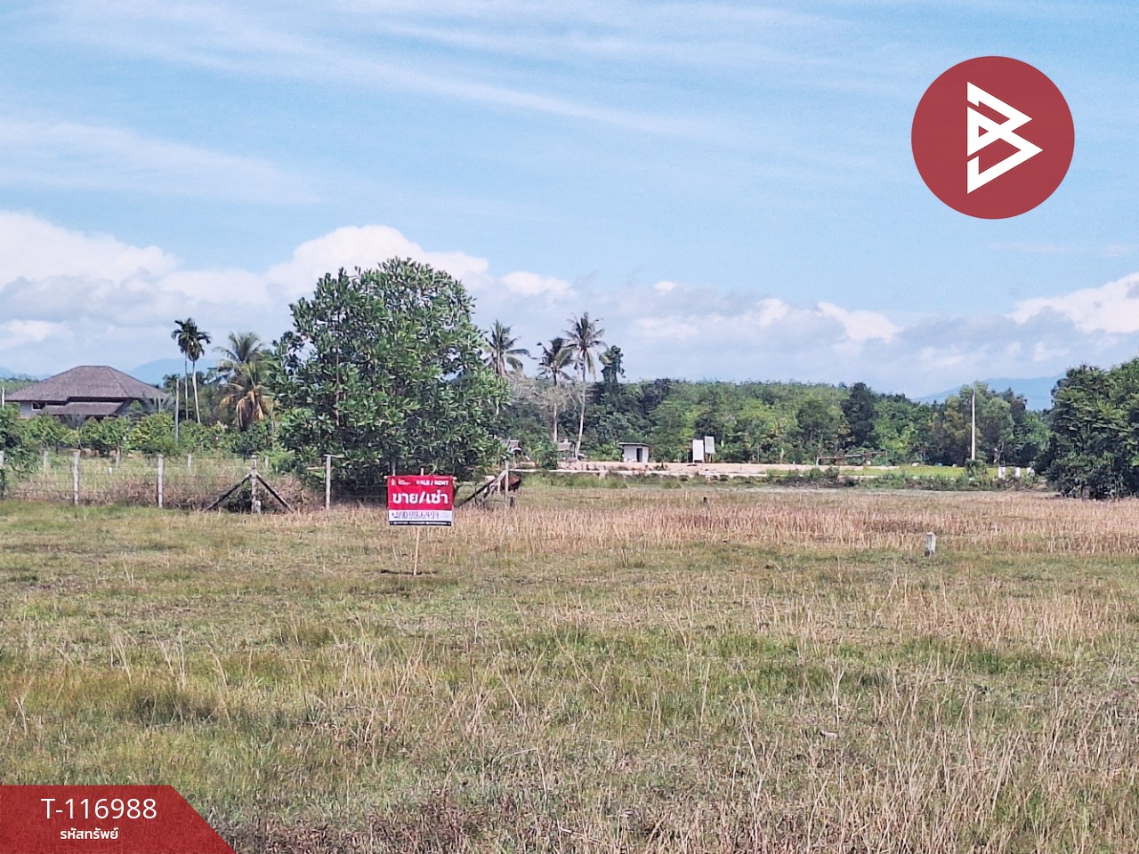 ขายที่ดิน เนื้อที่ 50.6 ตร.วา ท่าศาลา นครศรีธรรมราช 1