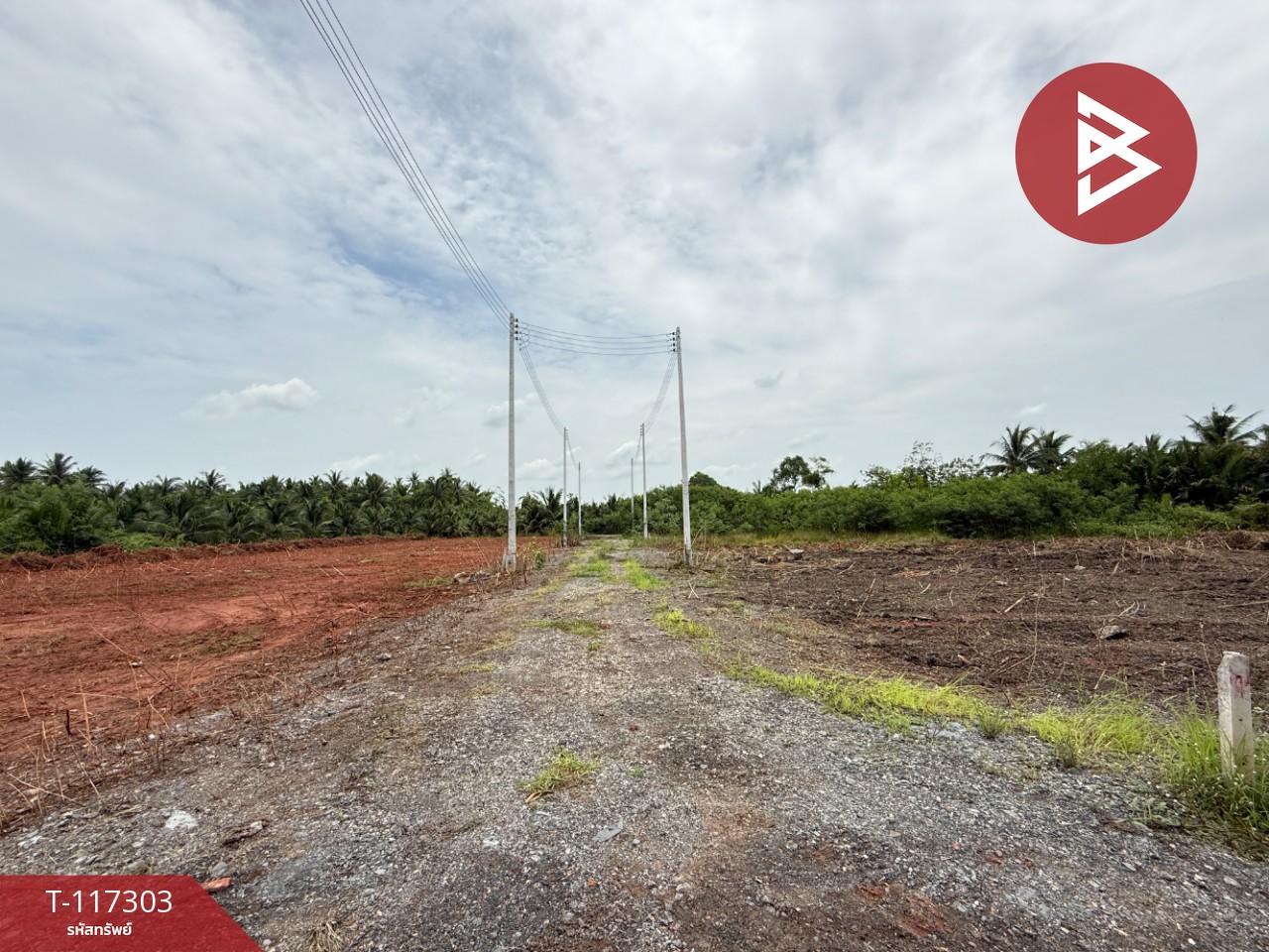 ขายที่ดิน เนื้อที่ 1 ไร่ 2 งาน 67 ตร.วา อัมพวา สมุทรสงคราม 6