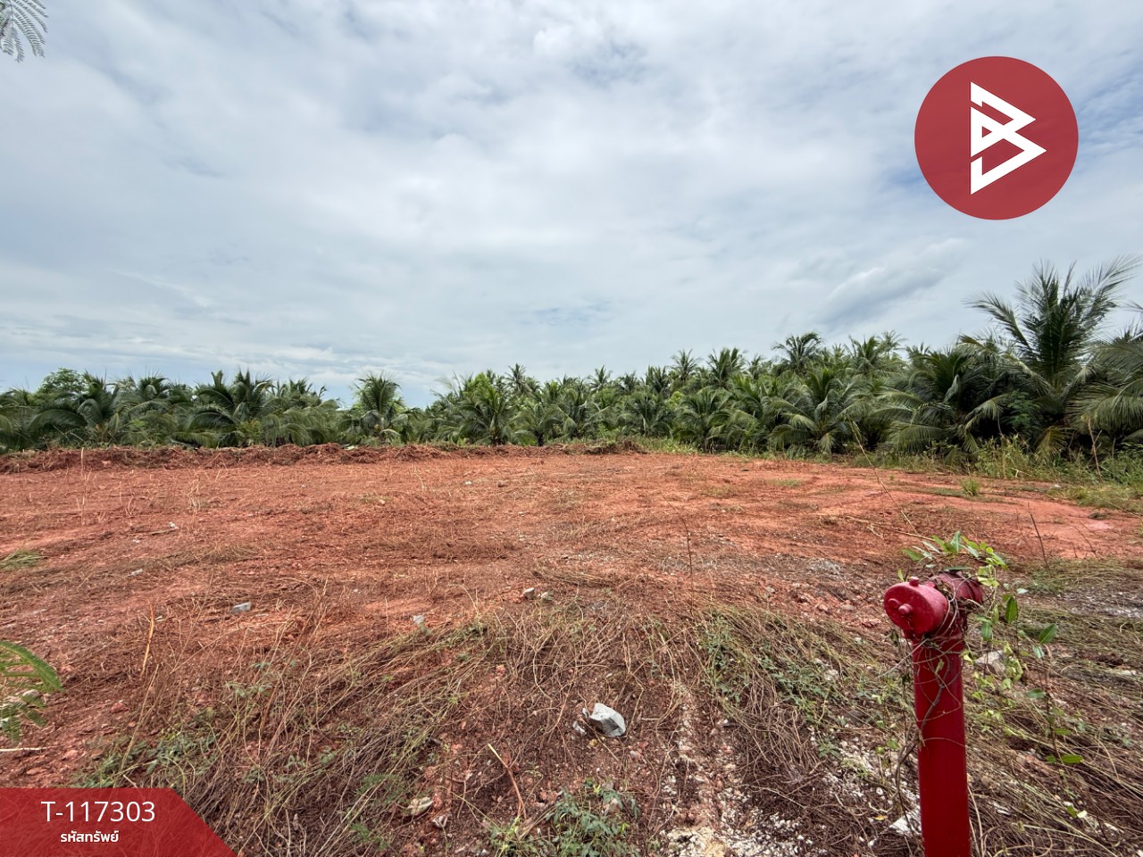 ขายที่ดิน เนื้อที่ 1 ไร่ 2 งาน 67 ตร.วา อัมพวา สมุทรสงคราม 12