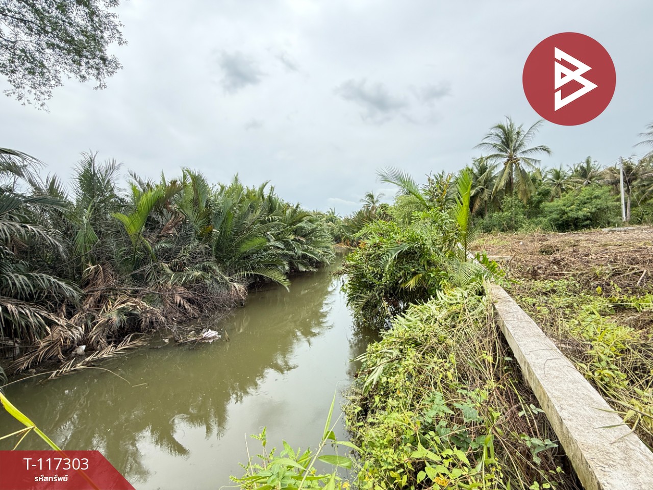 ขายที่ดิน เนื้อที่ 1 ไร่ 2 งาน 67 ตร.วา อัมพวา สมุทรสงคราม 3