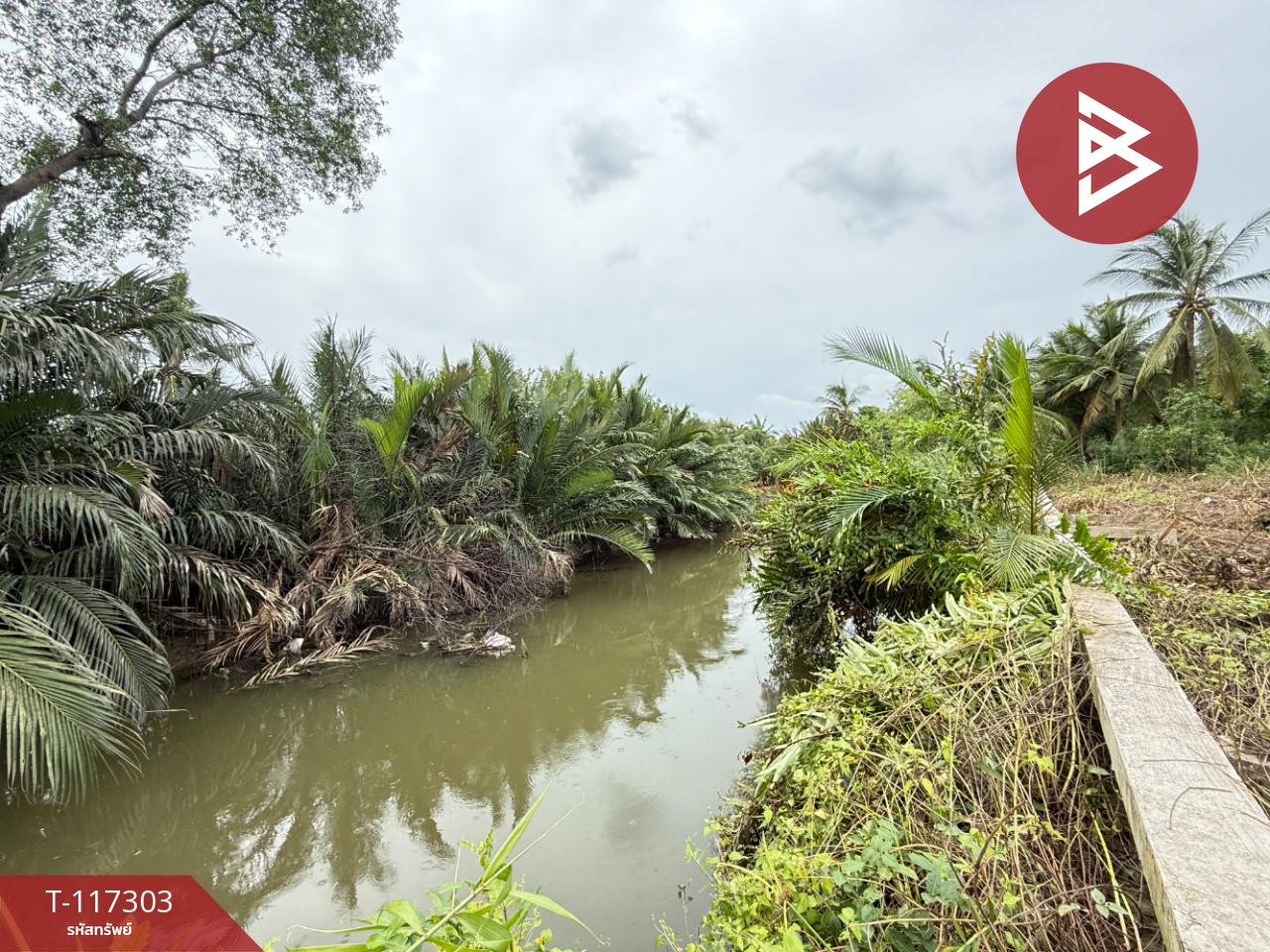 ขายที่ดิน เนื้อที่ 1 ไร่ 2 งาน 67 ตร.วา อัมพวา สมุทรสงคราม 5