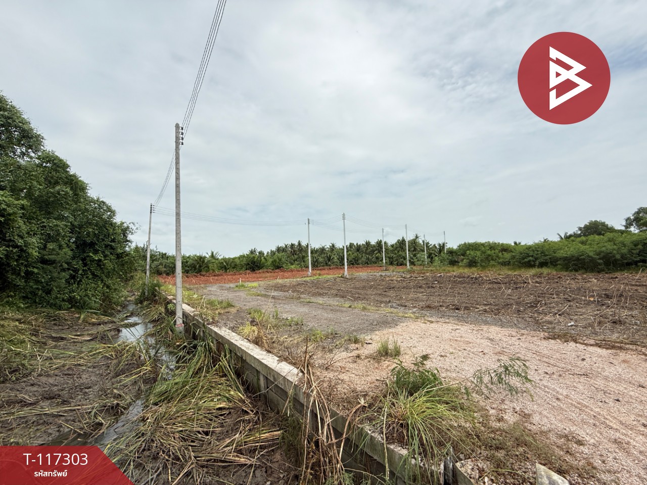 ขายที่ดิน เนื้อที่ 1 ไร่ 2 งาน 67 ตร.วา อัมพวา สมุทรสงคราม 2