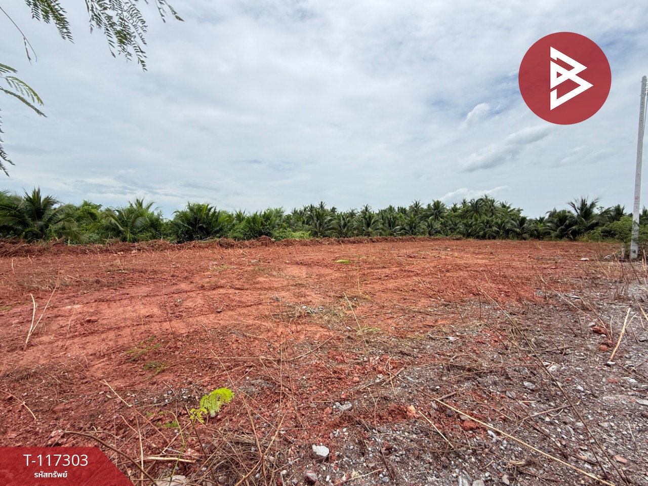 ขายที่ดิน เนื้อที่ 1 ไร่ 2 งาน 67 ตร.วา อัมพวา สมุทรสงคราม 13