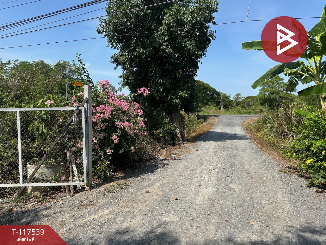 ขายที่ดิน เนื้อที่ 7 ไร่ 2 งาน 34 ตร.วา บางไทร พระนครศรีอยุธยา 3