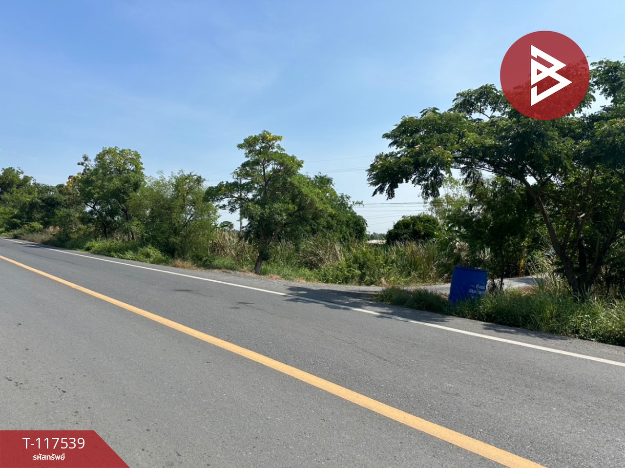 ขายที่ดิน เนื้อที่ 7 ไร่ 2 งาน 34 ตร.วา บางไทร พระนครศรีอยุธยา 2