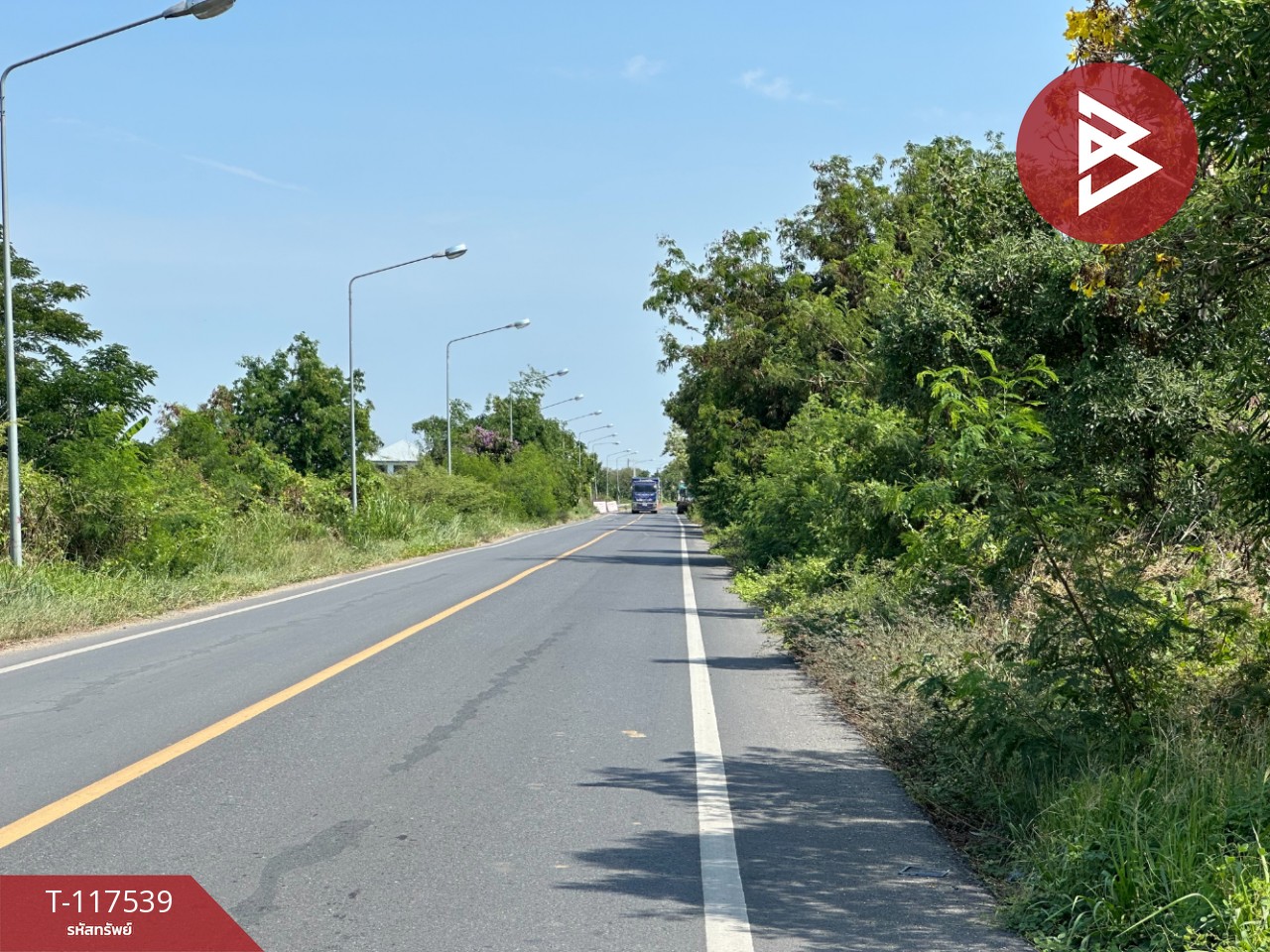 ขายที่ดิน เนื้อที่ 7 ไร่ 2 งาน 34 ตร.วา บางไทร พระนครศรีอยุธยา 5