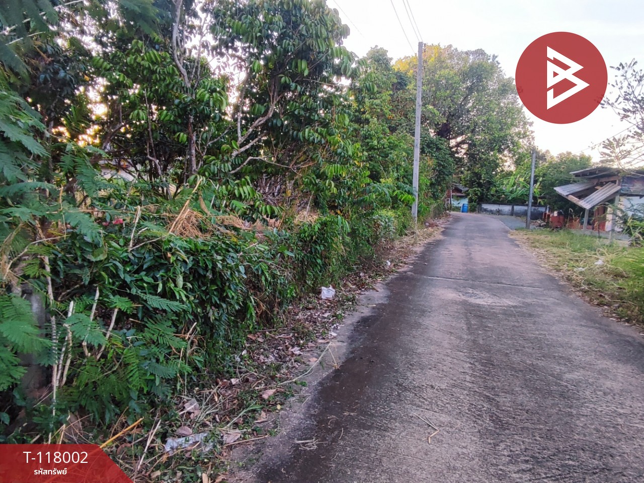 ขายที่ดิน เนื้อที่ 3 งาน 37.5 ตร.วา ขลุง จันทบุรี 12