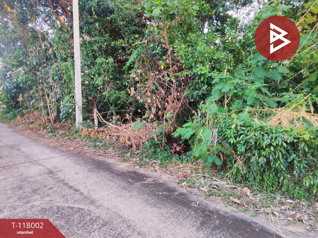 ขายที่ดิน เนื้อที่ 3 งาน 37.5 ตร.วา ขลุง จันทบุรี 13