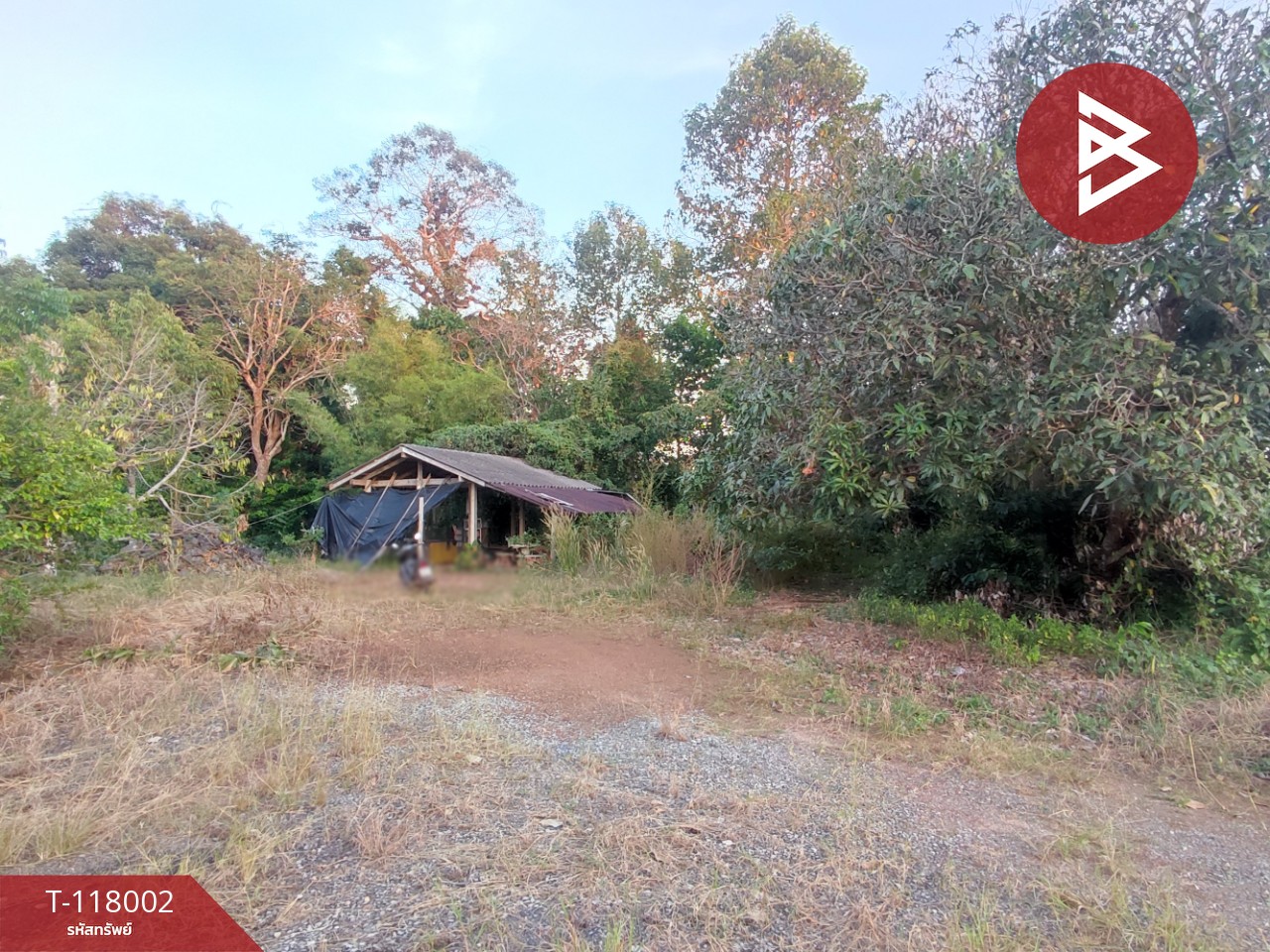 ขายที่ดิน เนื้อที่ 3 งาน 37.5 ตร.วา ขลุง จันทบุรี 10