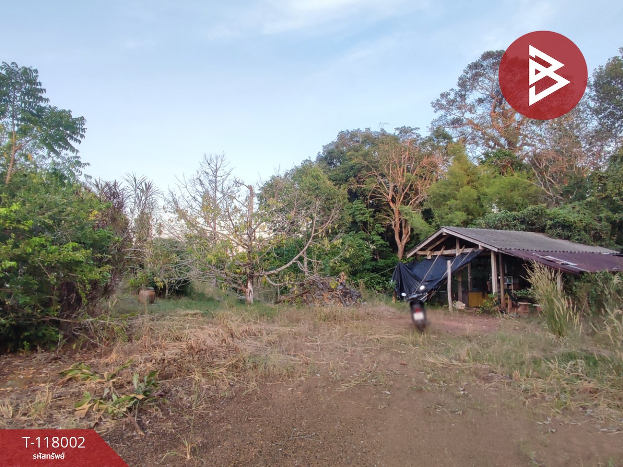 ขายที่ดิน เนื้อที่ 3 งาน 37.5 ตร.วา ขลุง จันทบุรี 8