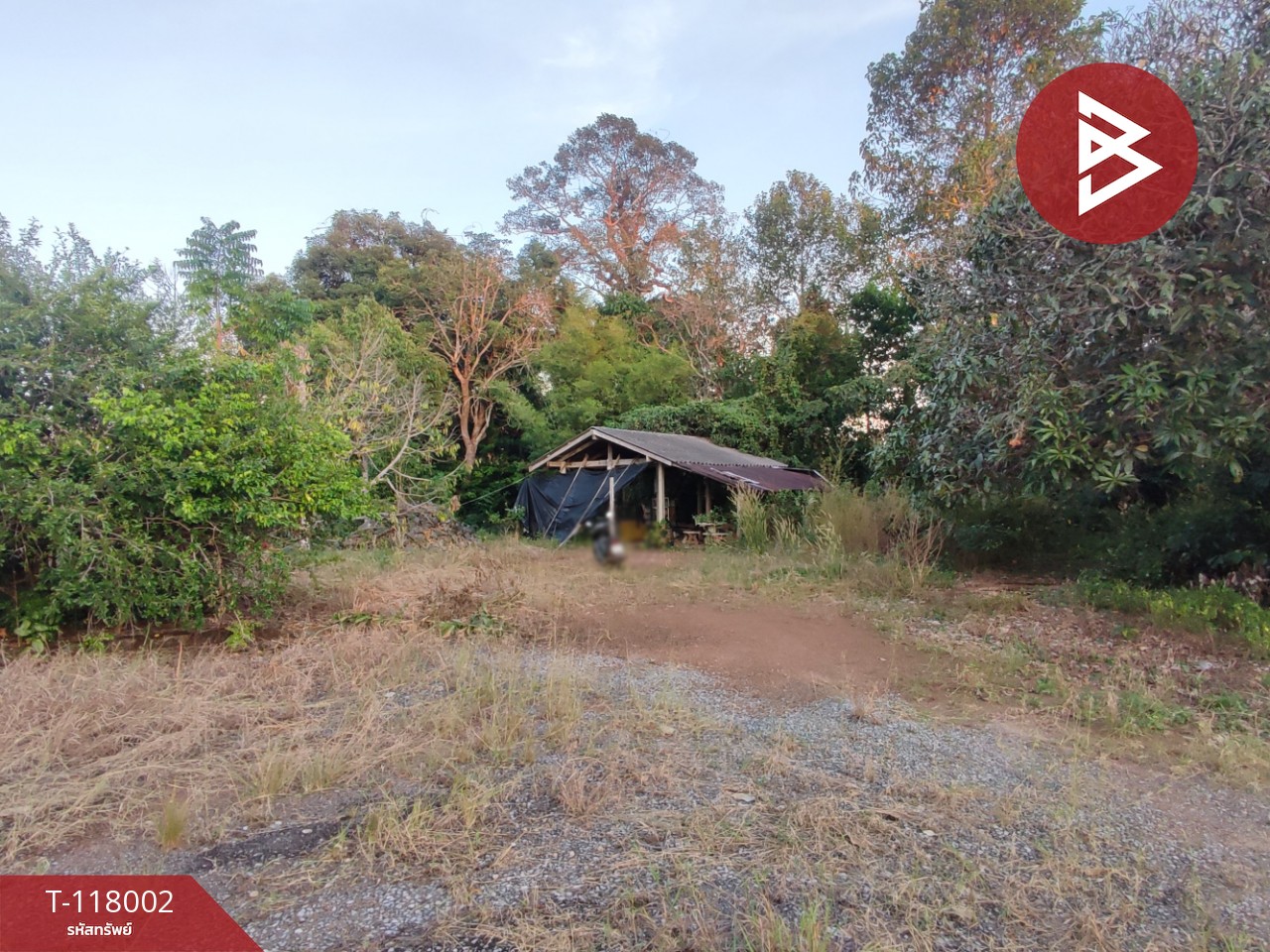 ขายที่ดิน เนื้อที่ 3 งาน 37.5 ตร.วา ขลุง จันทบุรี 7