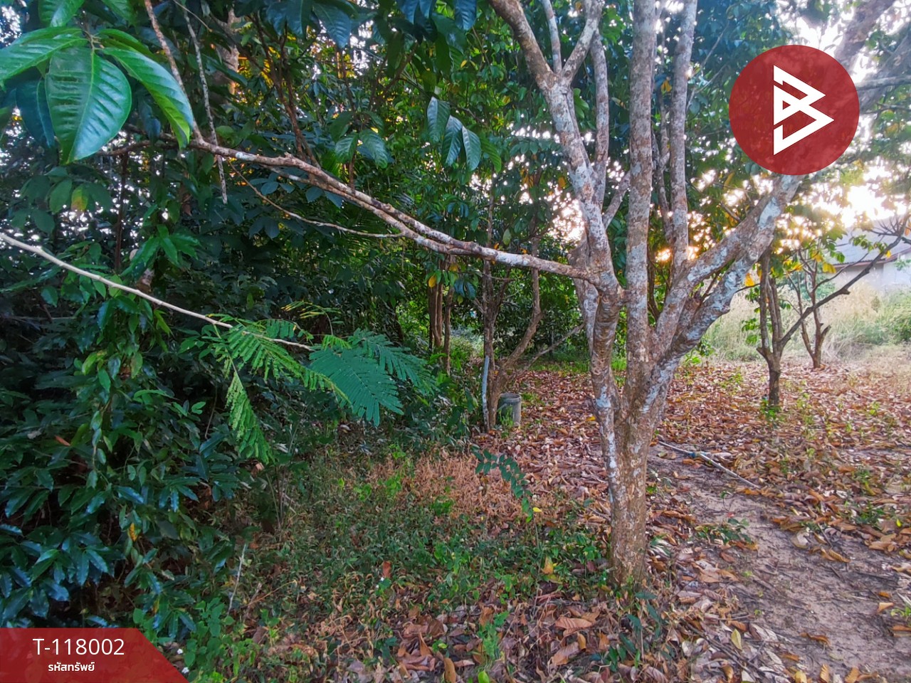 ขายที่ดิน เนื้อที่ 3 งาน 37.5 ตร.วา ขลุง จันทบุรี 11