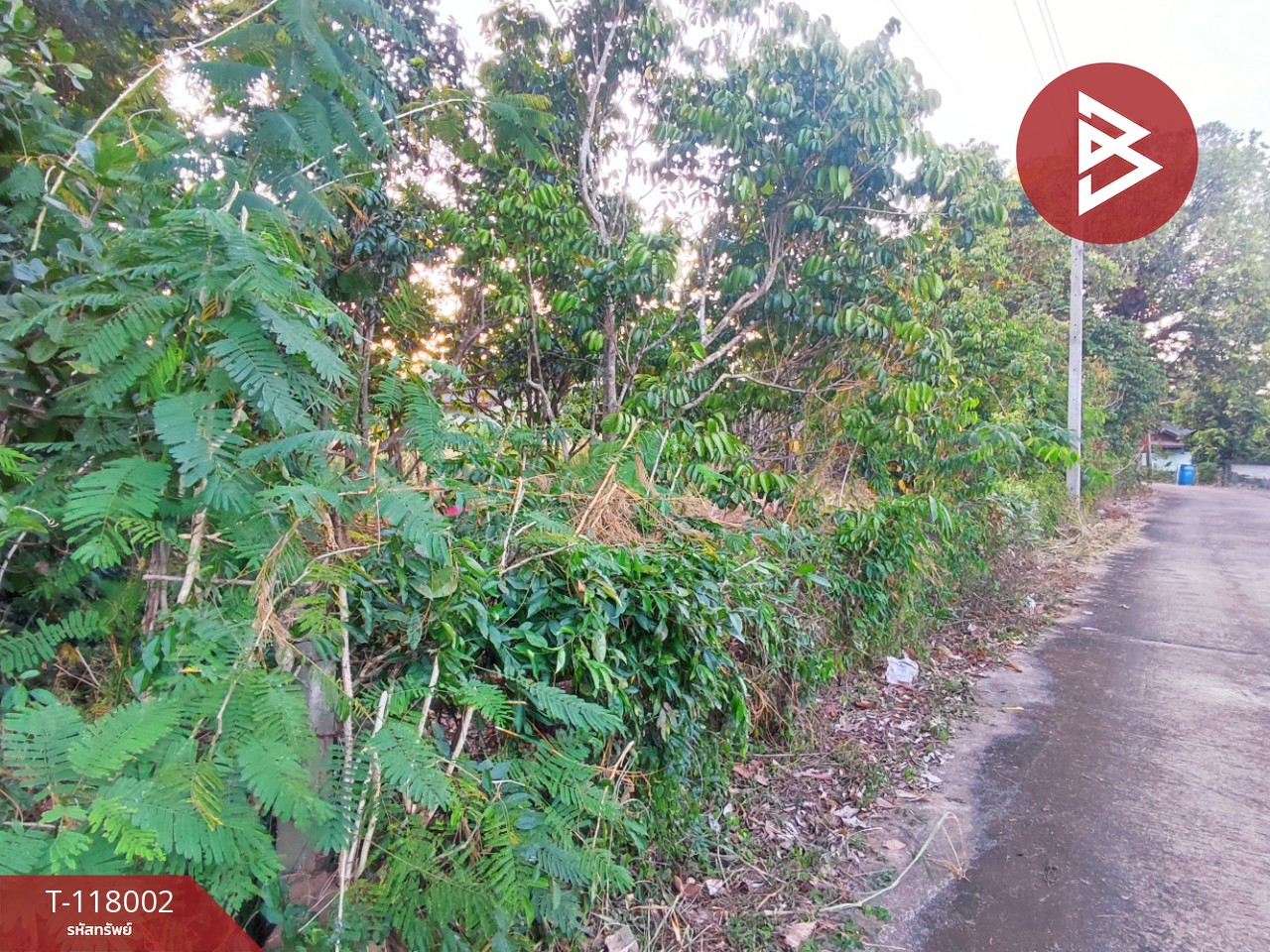 ขายที่ดิน เนื้อที่ 3 งาน 37.5 ตร.วา ขลุง จันทบุรี 9