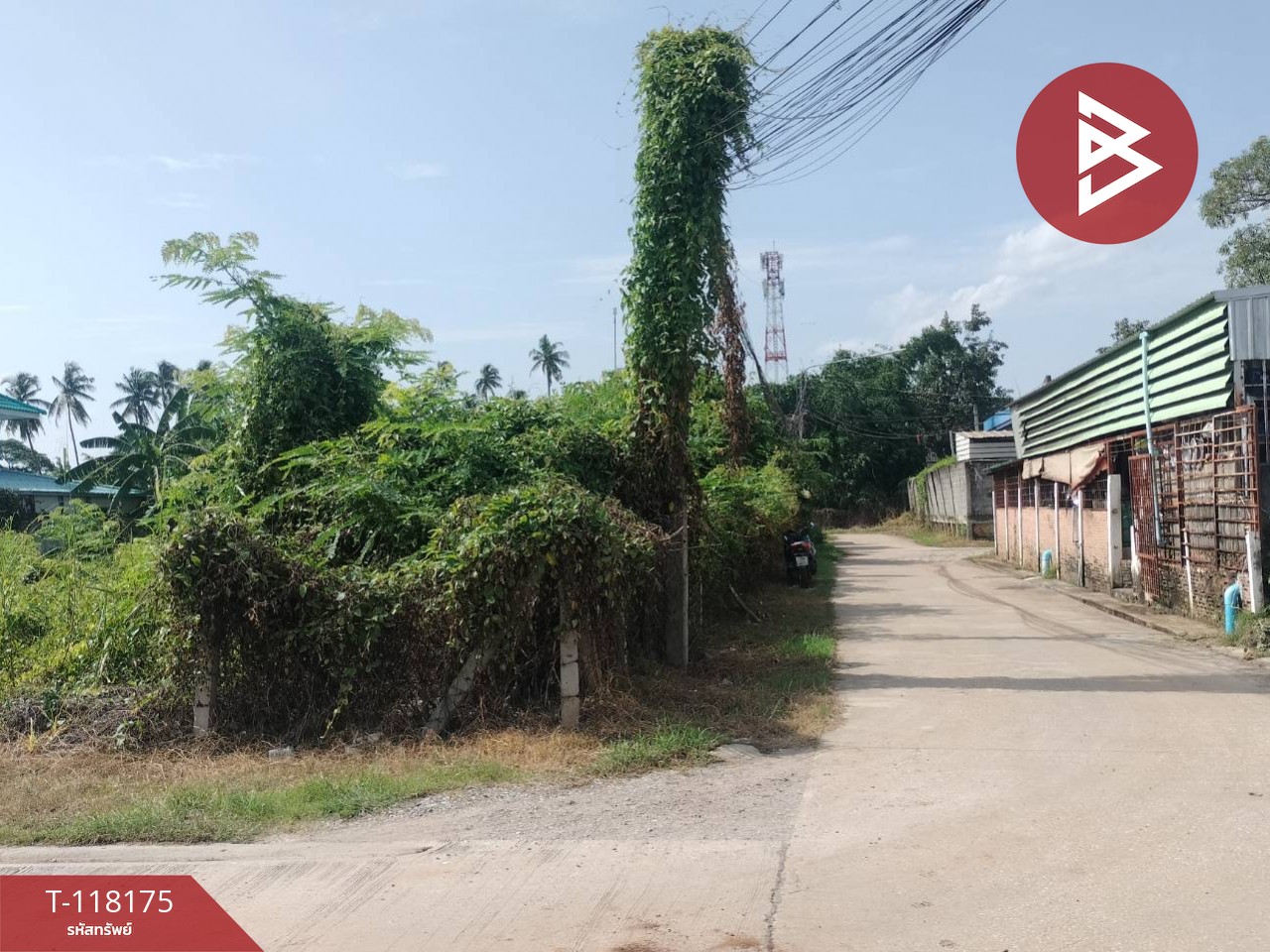 Property image 8