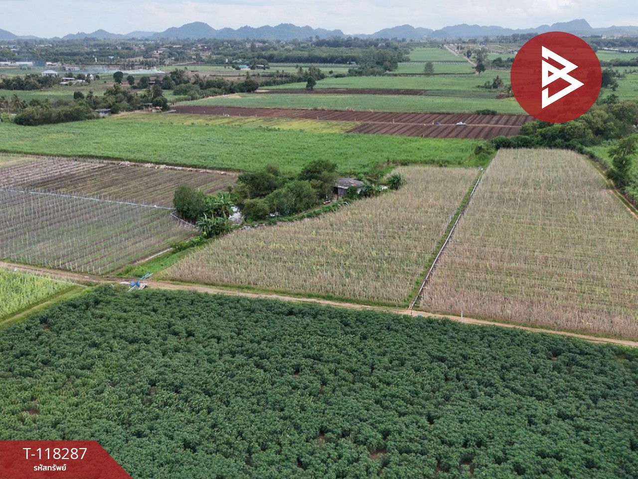 ขายที่ดิน เนื้อที่ 102 ไร่ 3 งาน 9 ตร.วา ปากช่อง นครราชสีมา 13